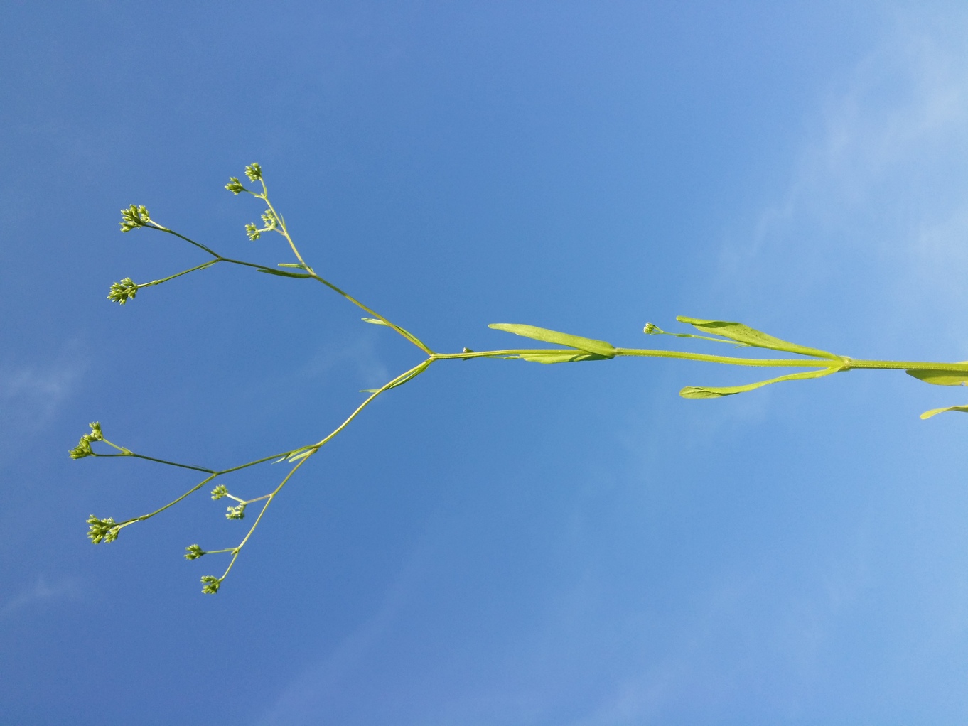 20230619_182606.jpg