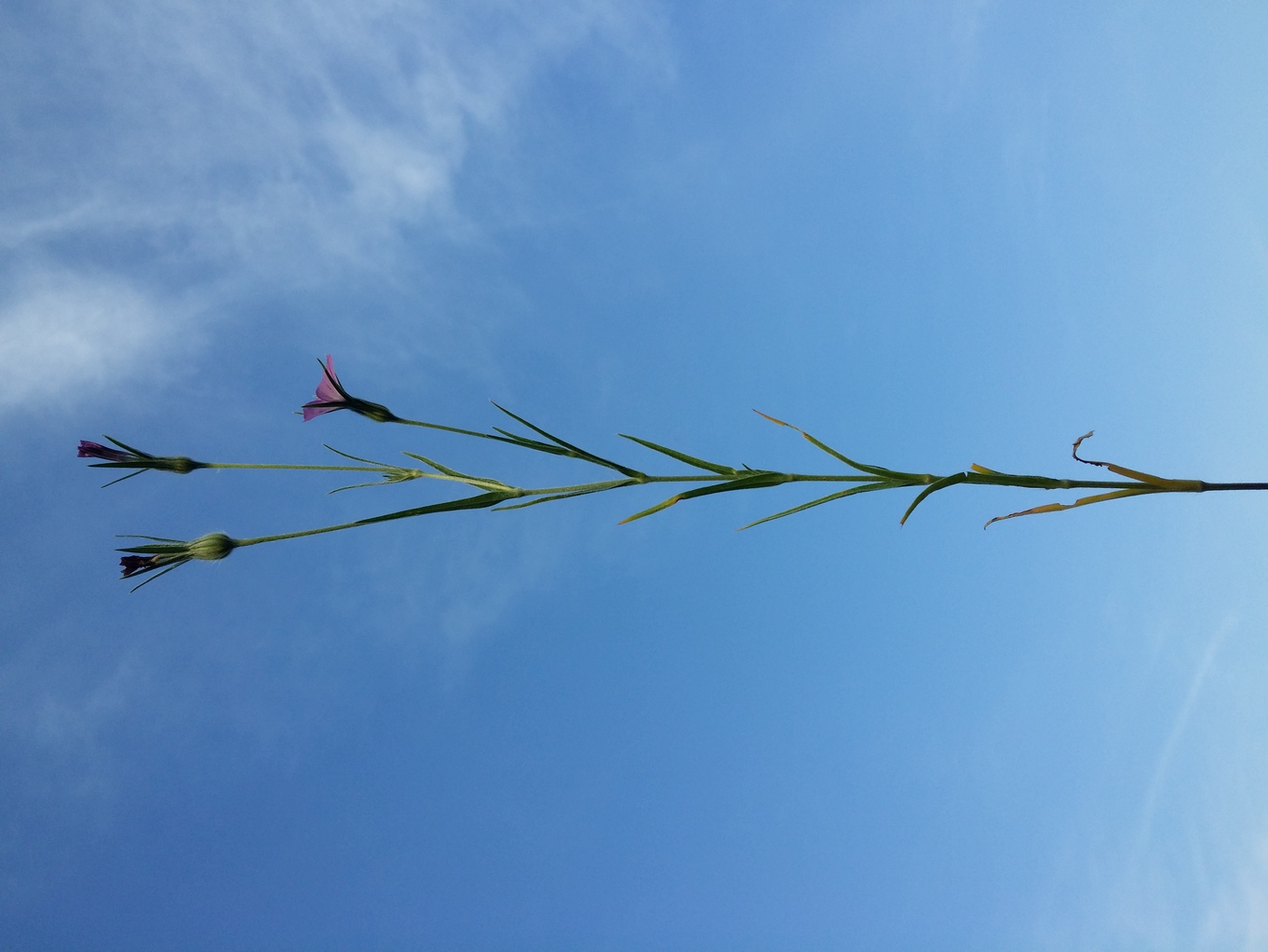 20230619_185119.jpg