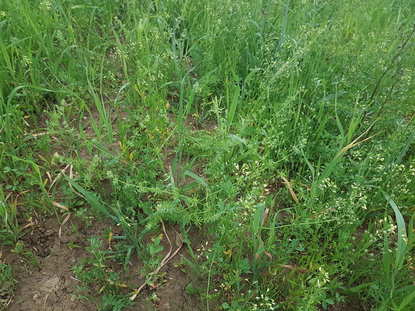 20230623_200054.jpg