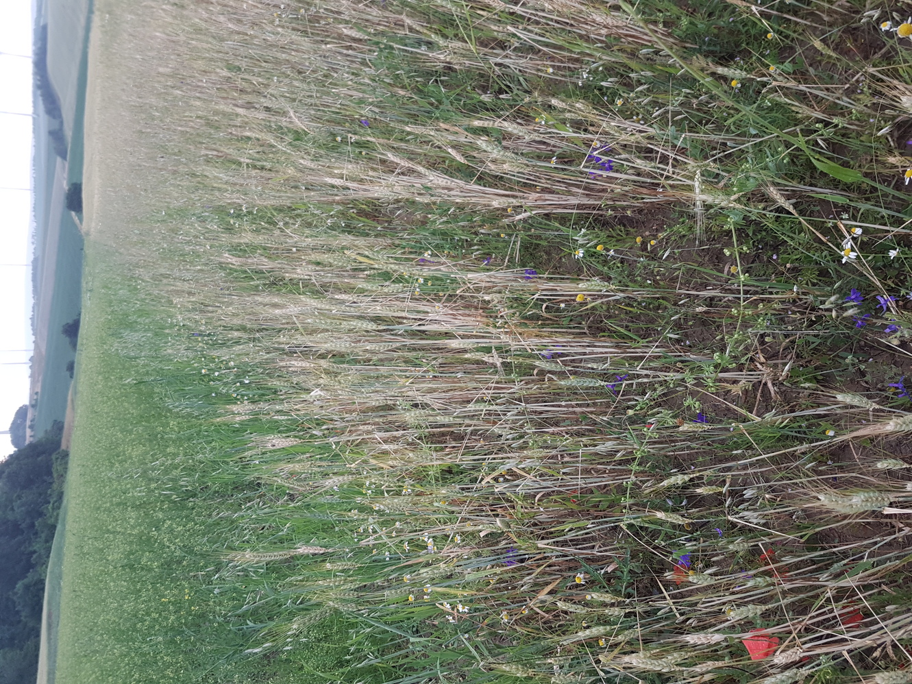 20230623_201217.jpg