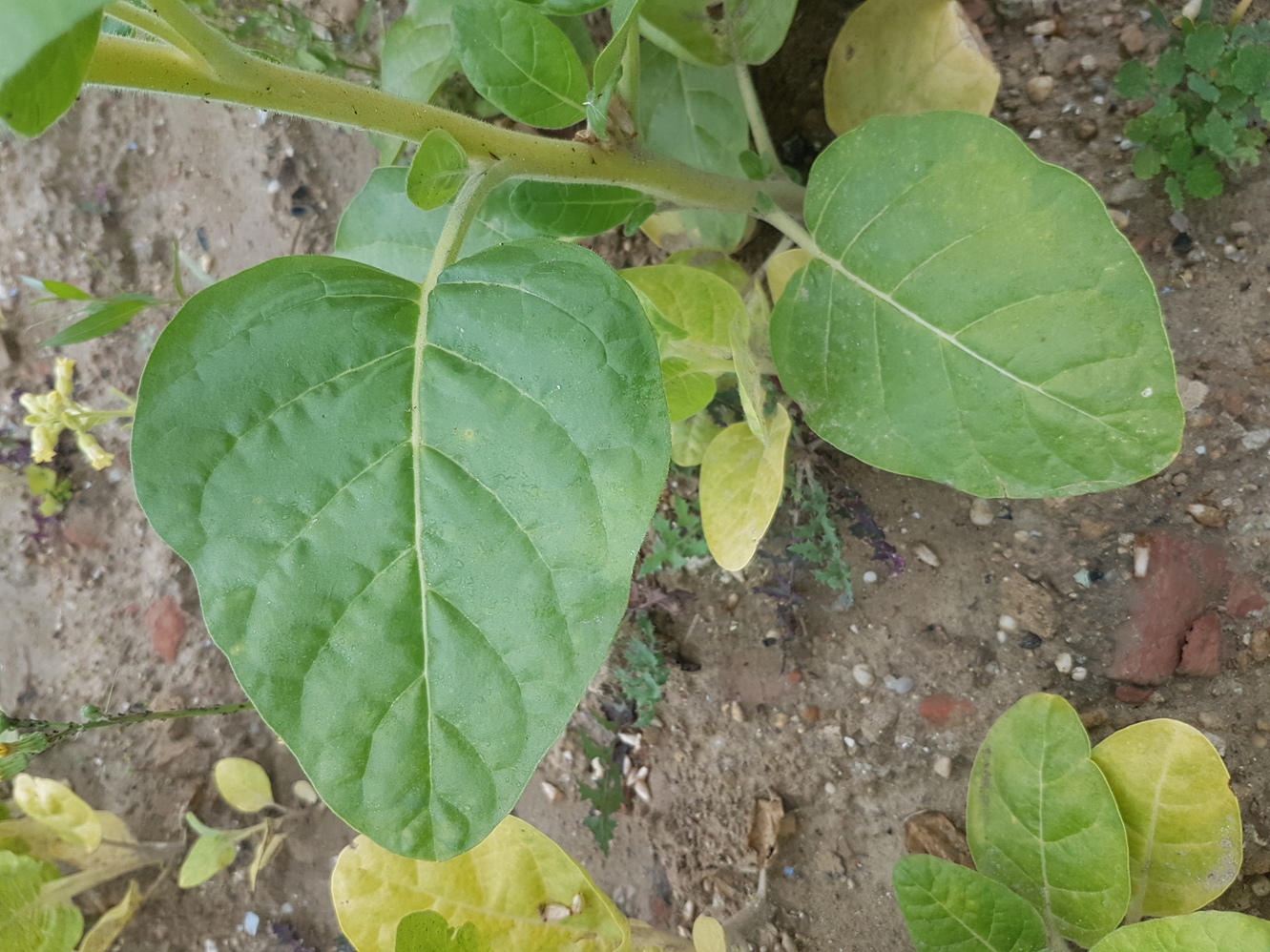 20230901_080513.jpg