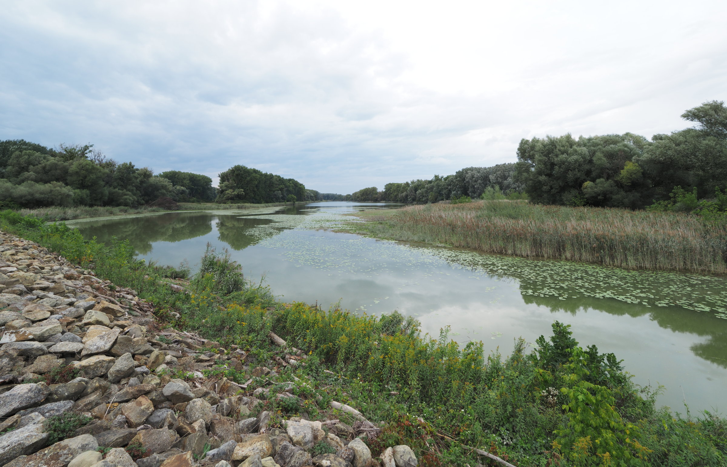 19_20230922=0197_A9220154_SchoenauerFurt_KuehwoerterWasser.jpg