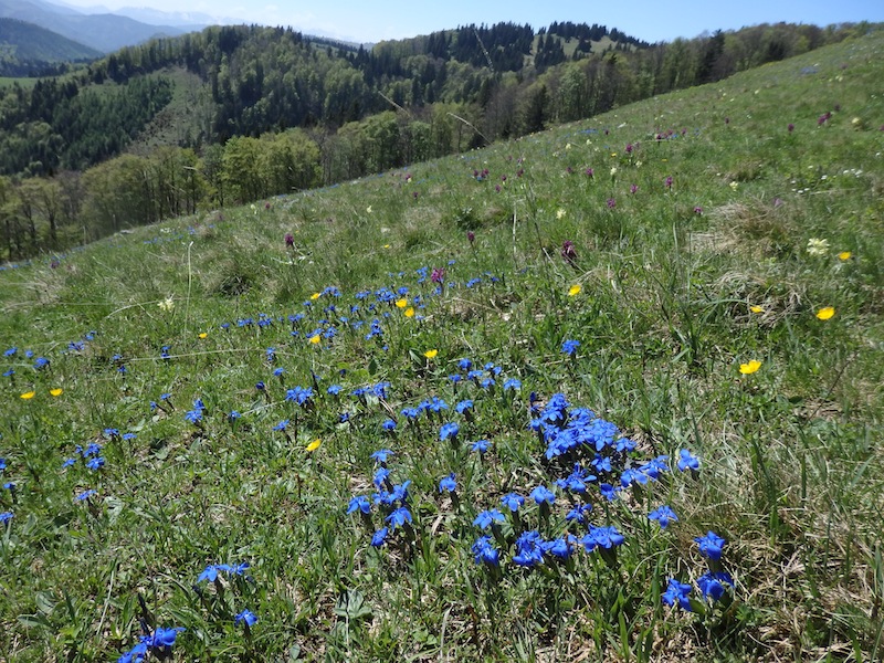 2kalte_kuchl_richtung_westen.JPG