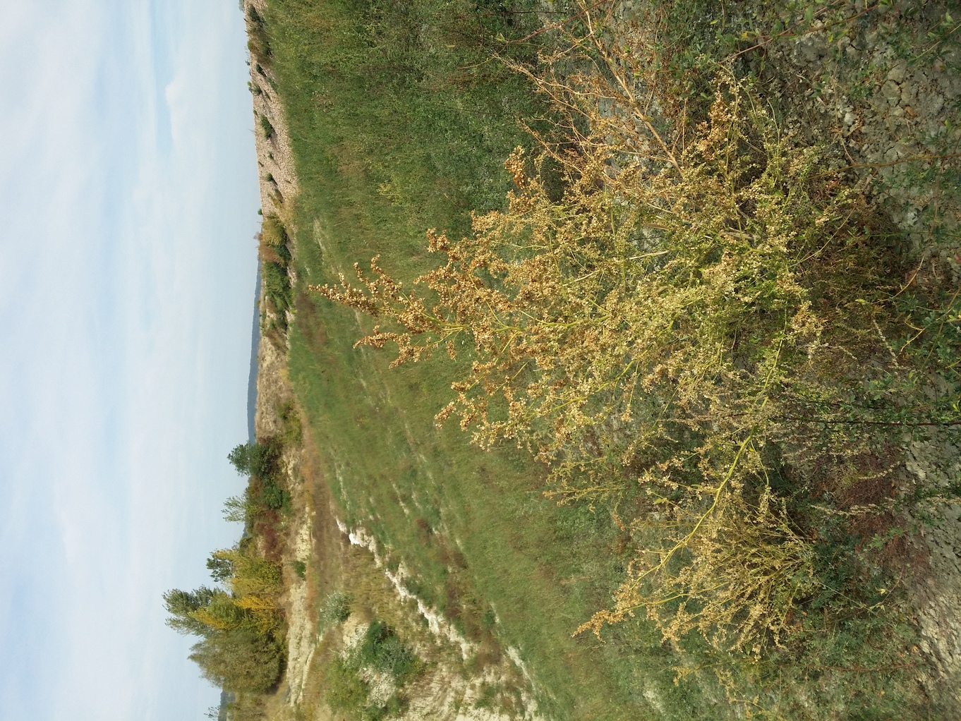 20231007_105144.jpg