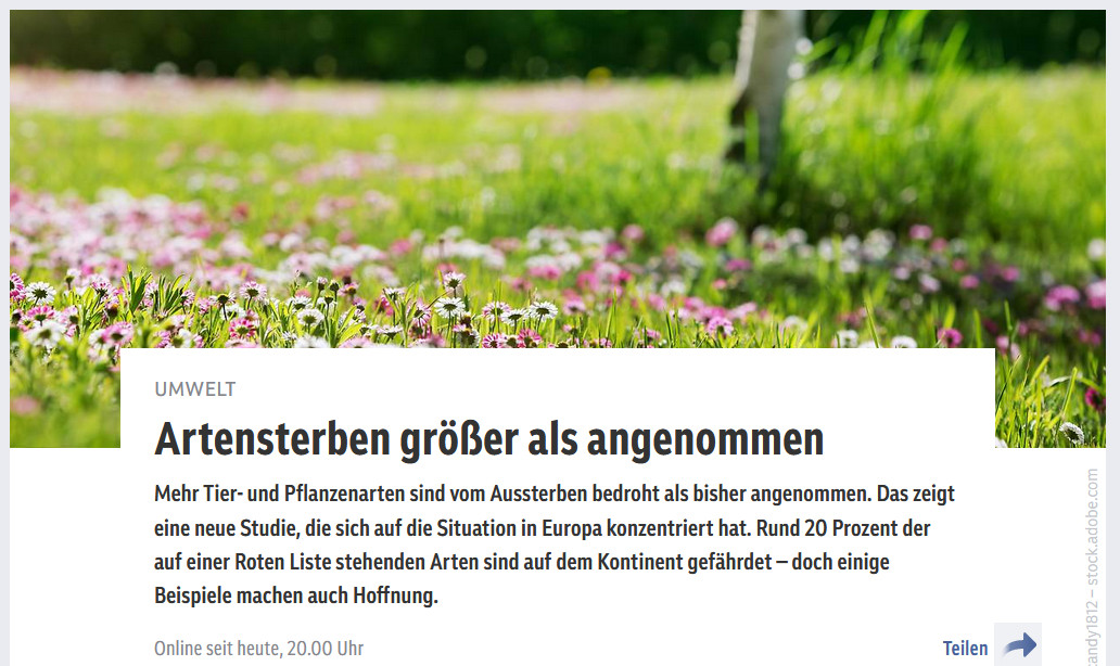 Vom Aussterben bedrohtes Gänseblümchen.jpg