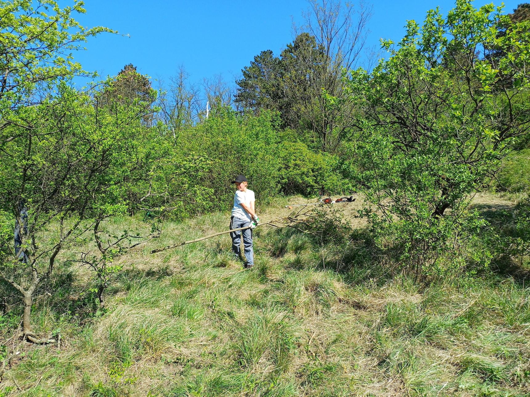 pflegeeinsatz bockstallberg 20240413_115550.jpg