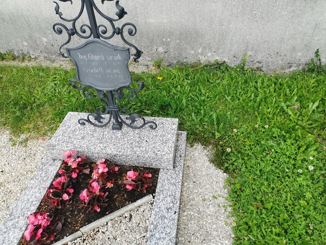 Muehlenbeckia complexa_Fh Seewalchen.jpg