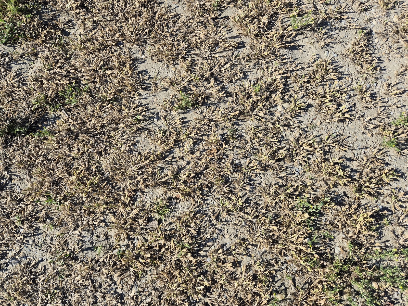 20240529_175317.jpg
