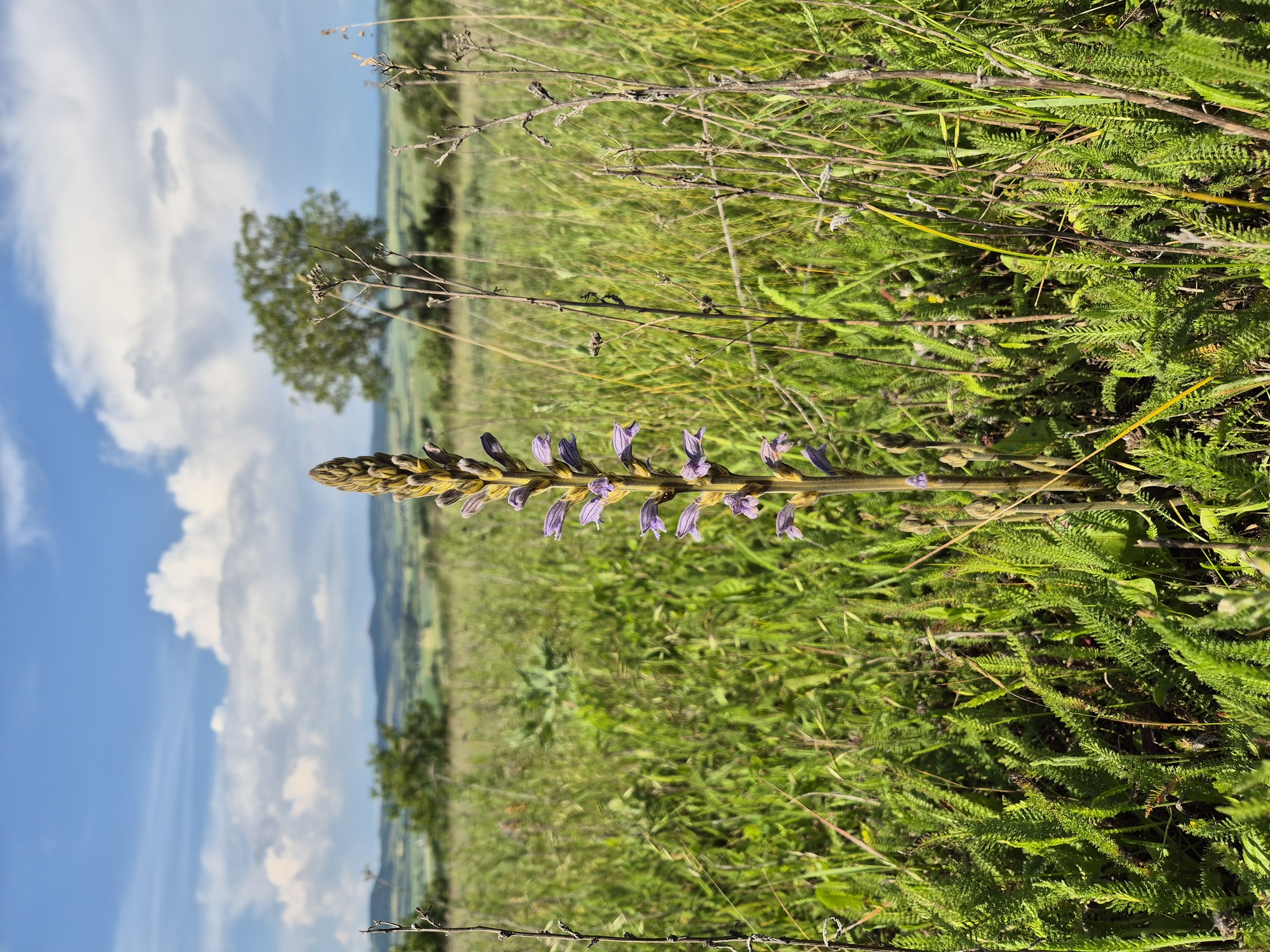 20240602_154510.jpg