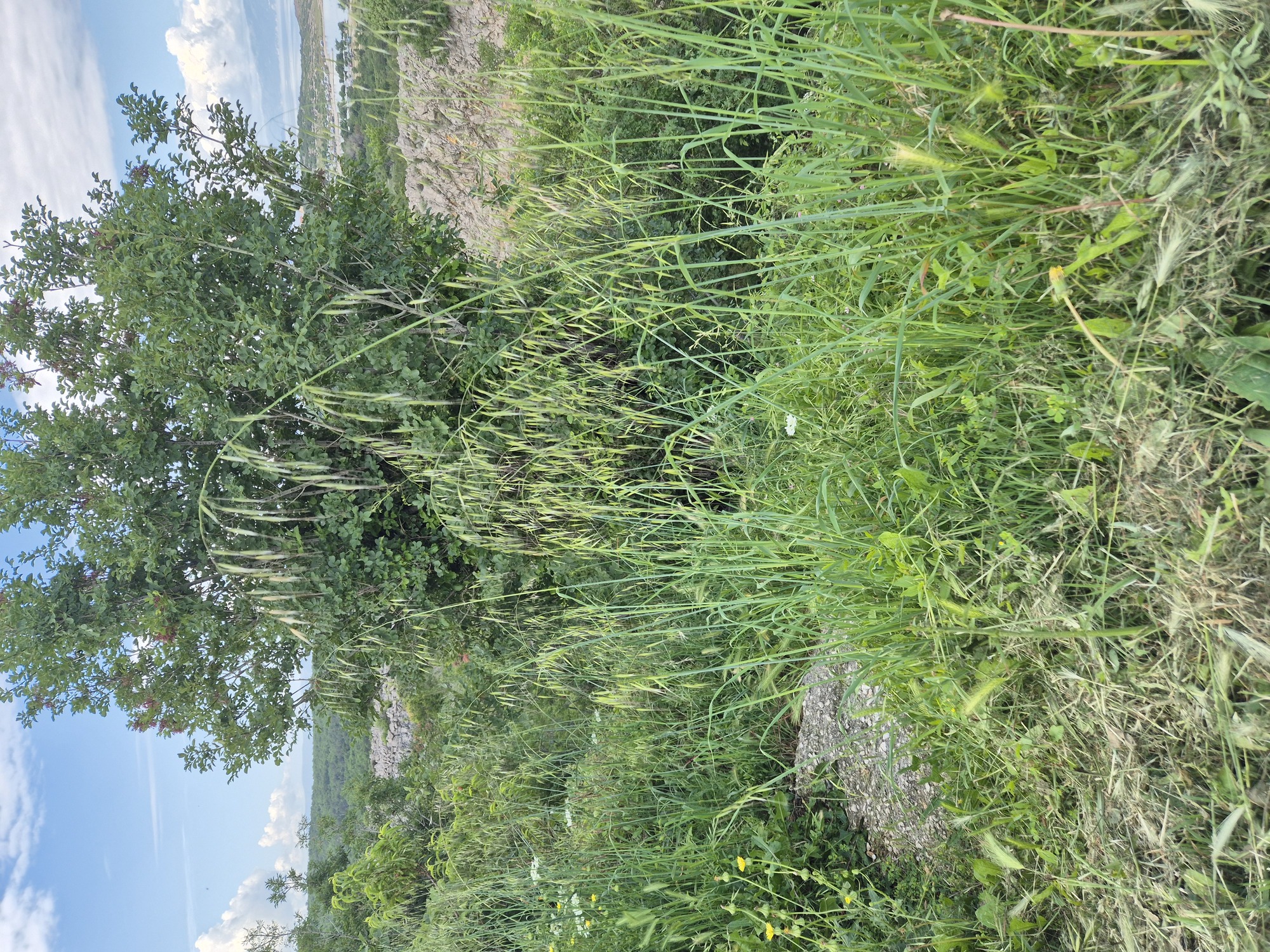 20240523_103953.jpg