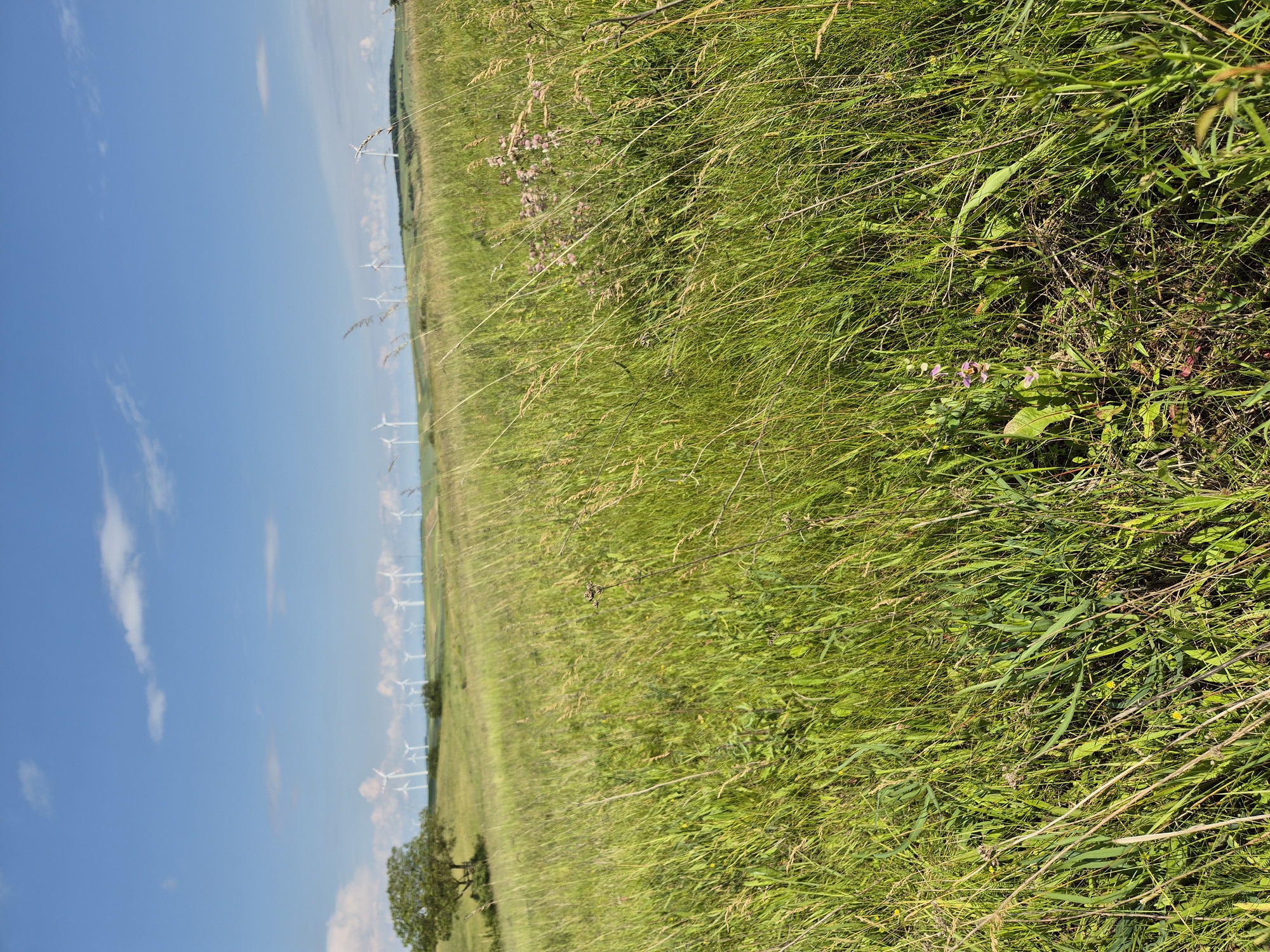 20240602_154934.jpg