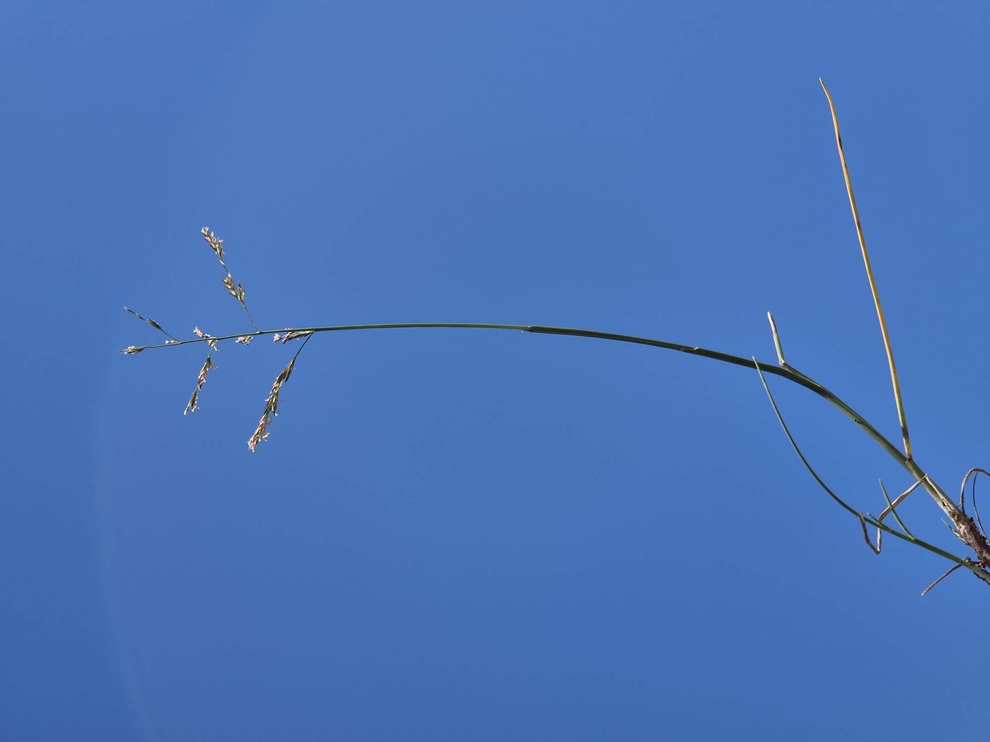 20240524_121309.jpg