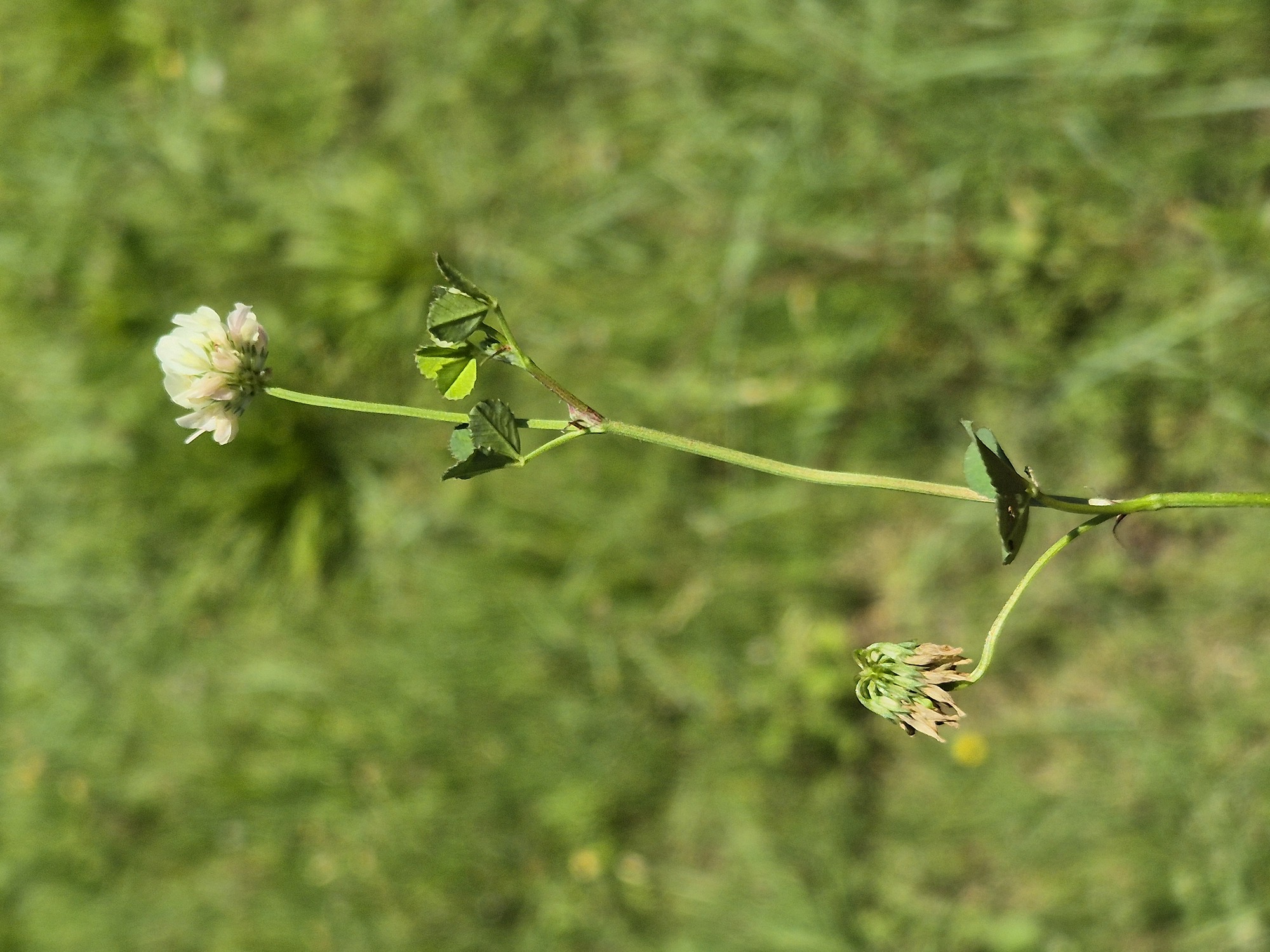 20240524_124740.jpg