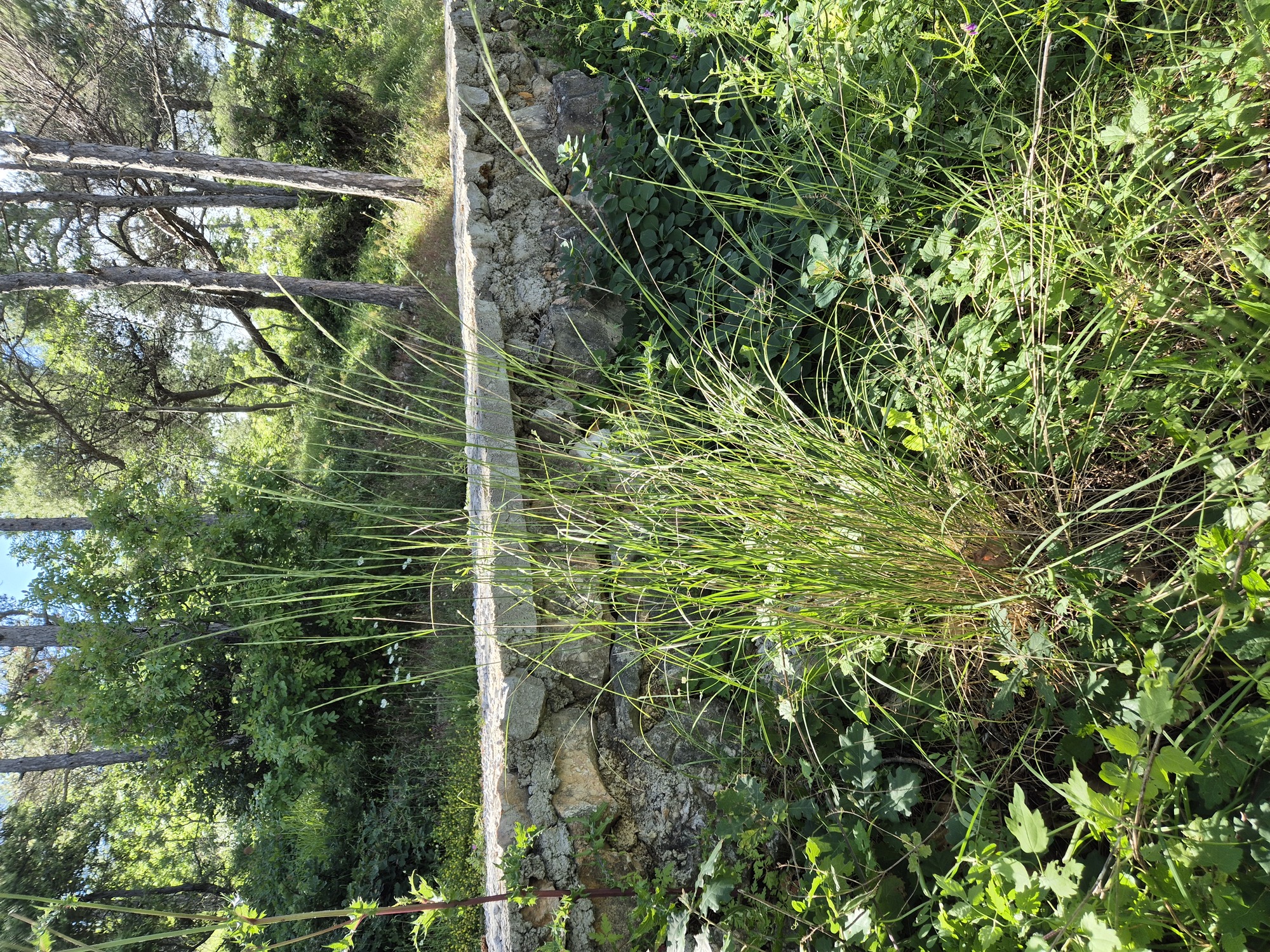 20240524_152424.jpg