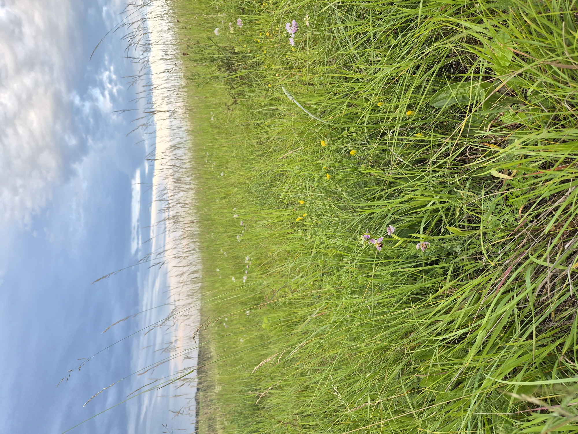 20240606_191528.jpg