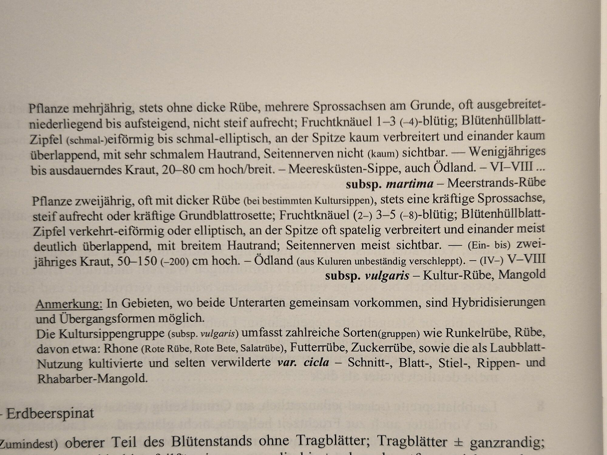 20240607_211553.jpg