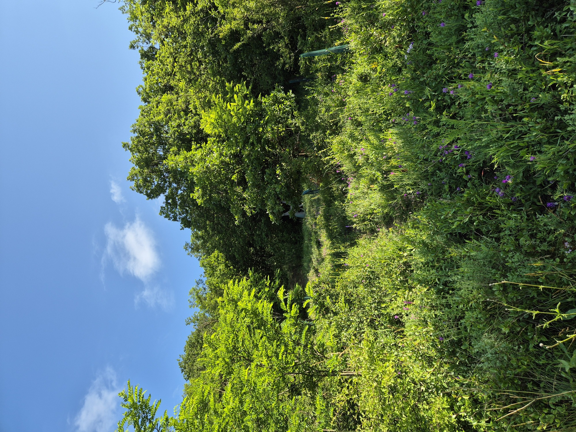 20240607_090530.jpg