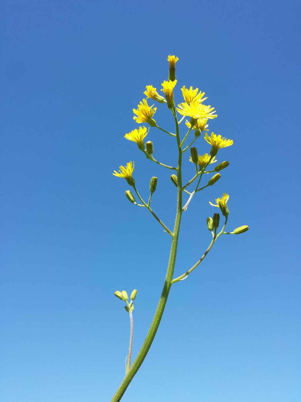 20180506_111341.jpg