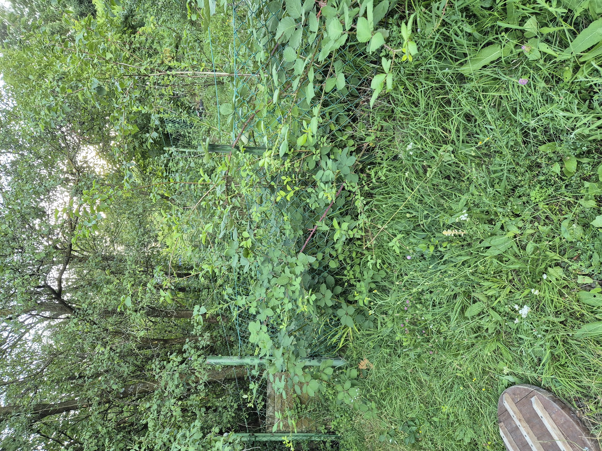 20240714_192647.jpg