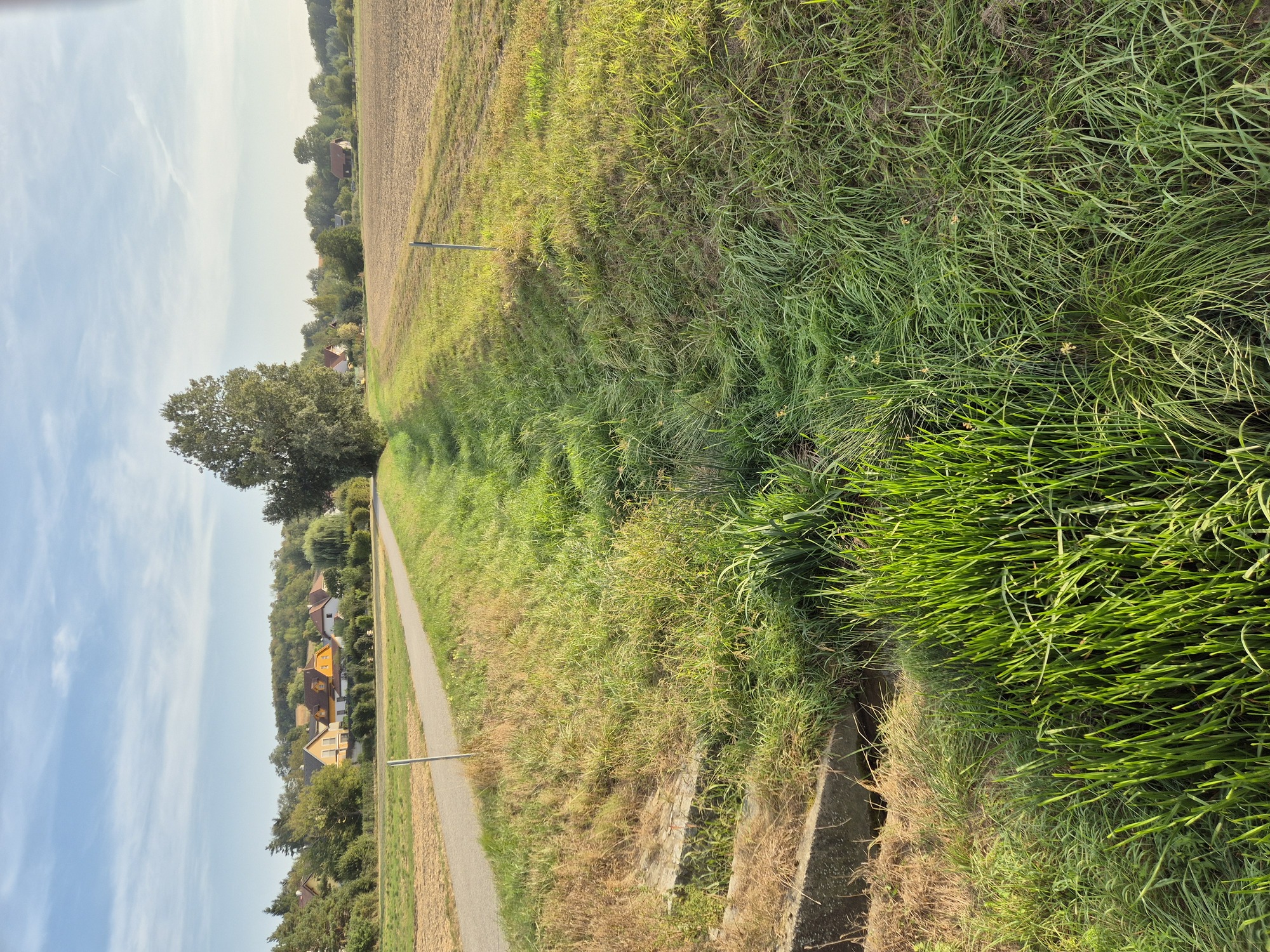 20240906_175206.jpg