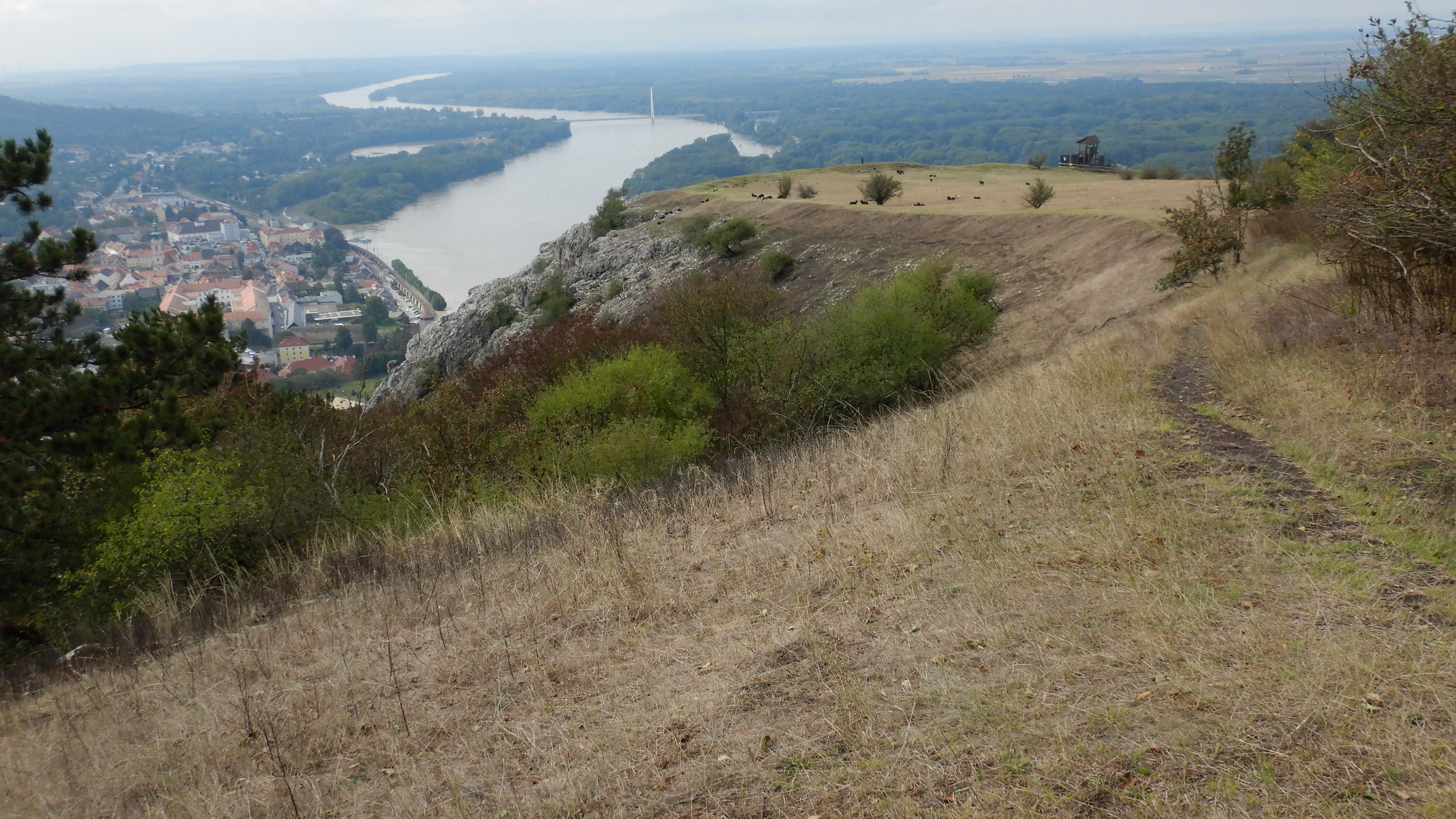 DSCN2303 braunsberg 2024-09-17.jpg