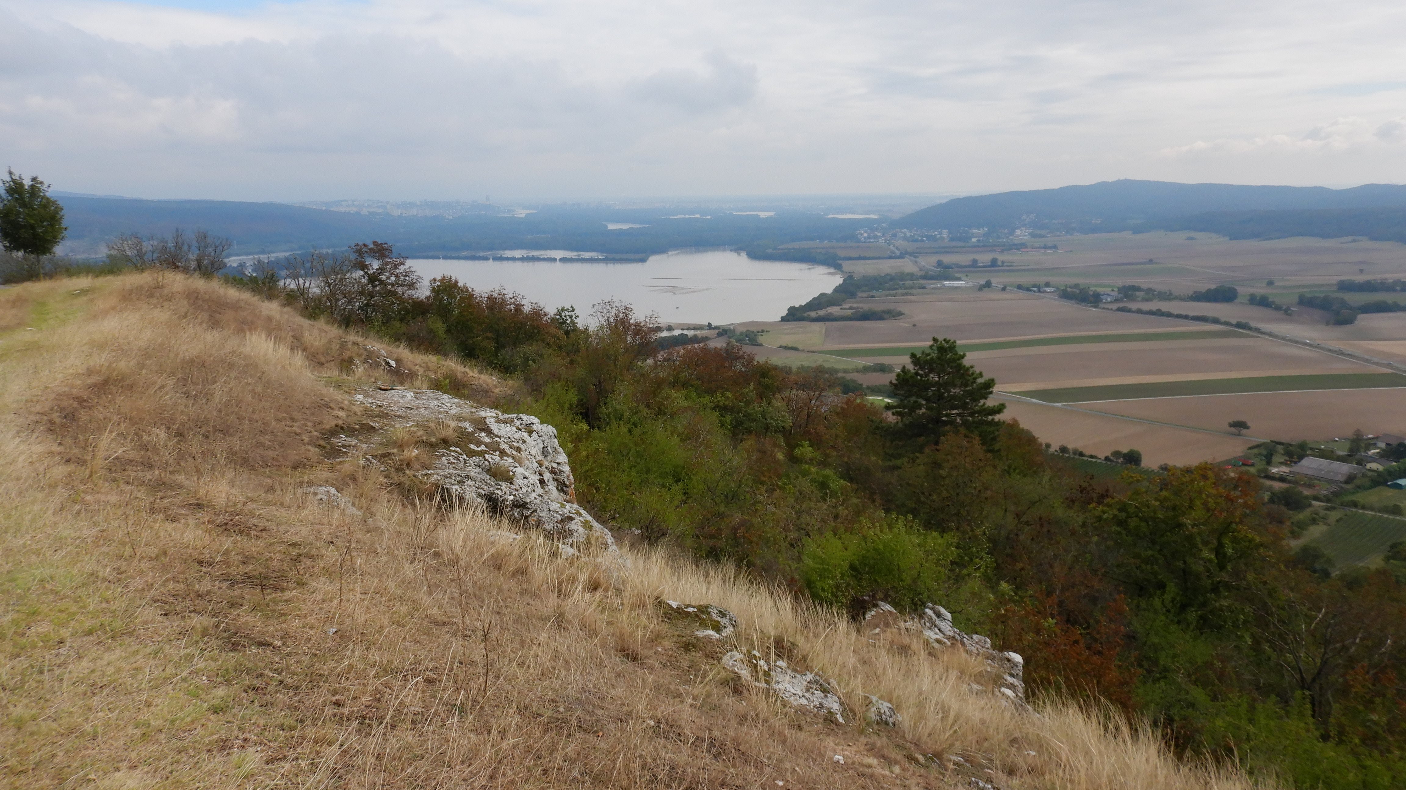 DSCN2322 braunsberg 2024-09-17.jpg