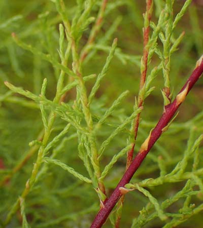Ta599201.jpg