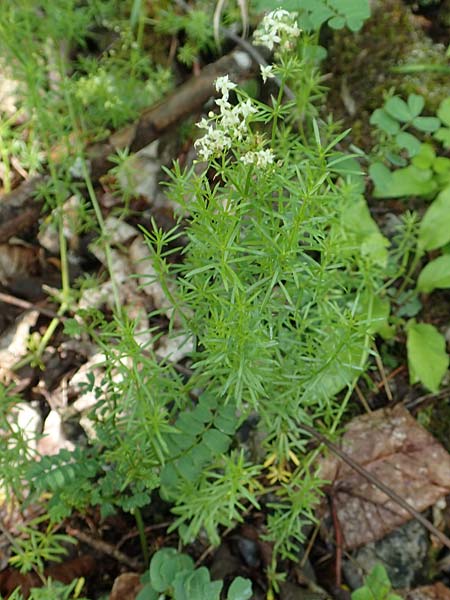 Gp535496.jpg