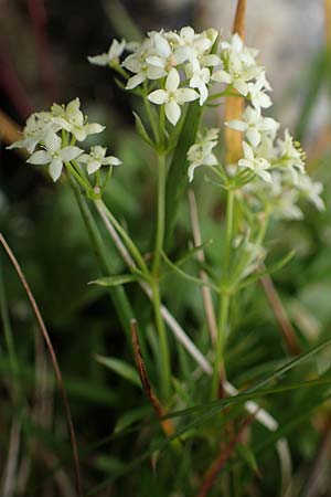 Gp566749.jpg