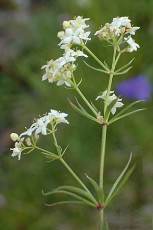 Gp566755.jpg