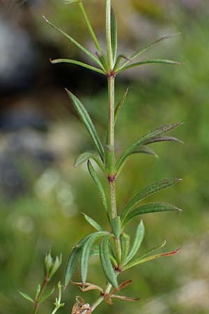 Gp566758.jpg