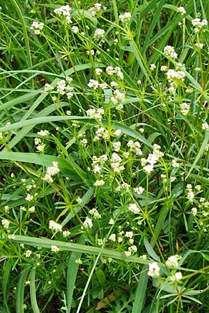 Gp329905.jpg