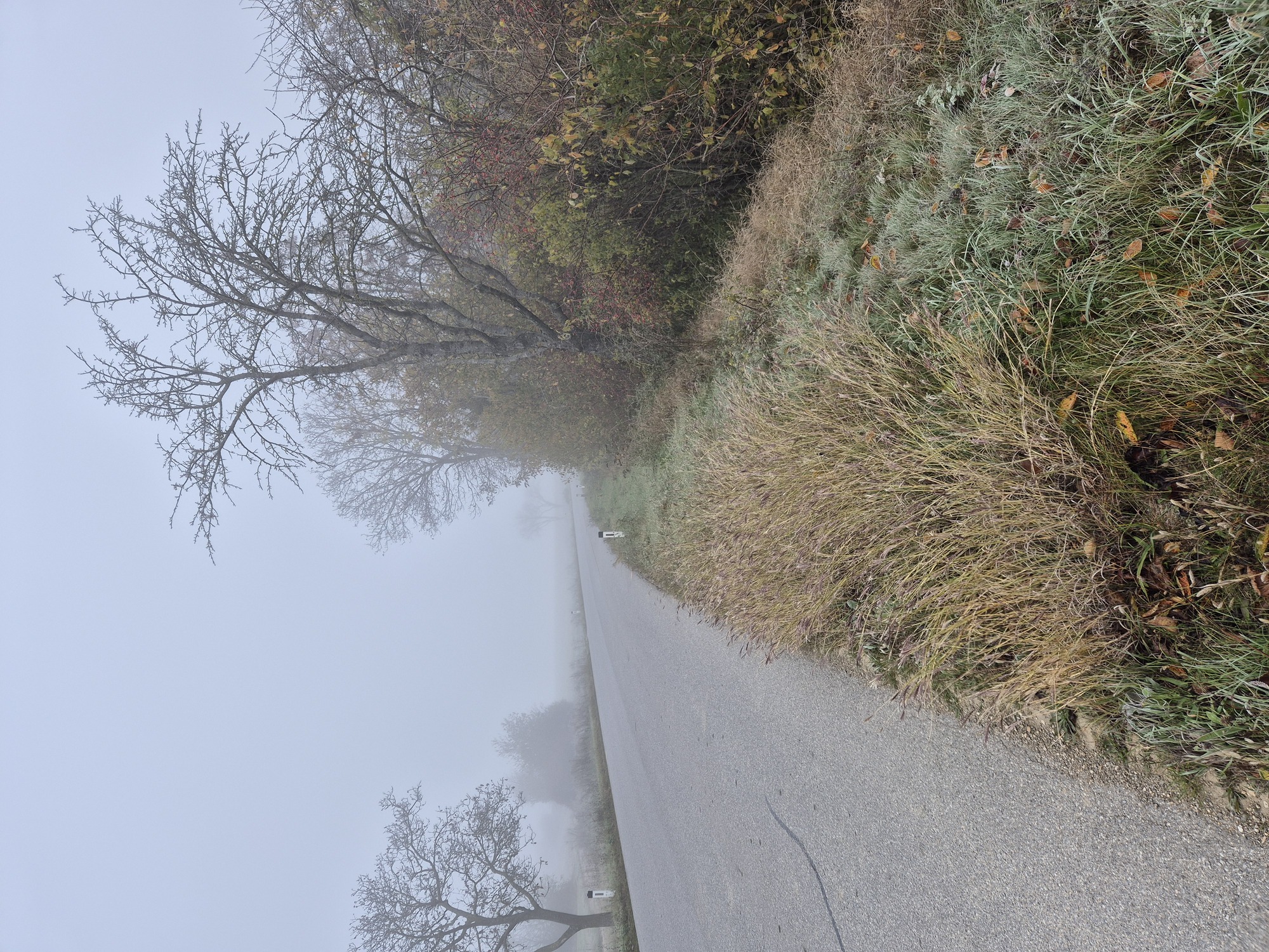 20241110_083745.jpg