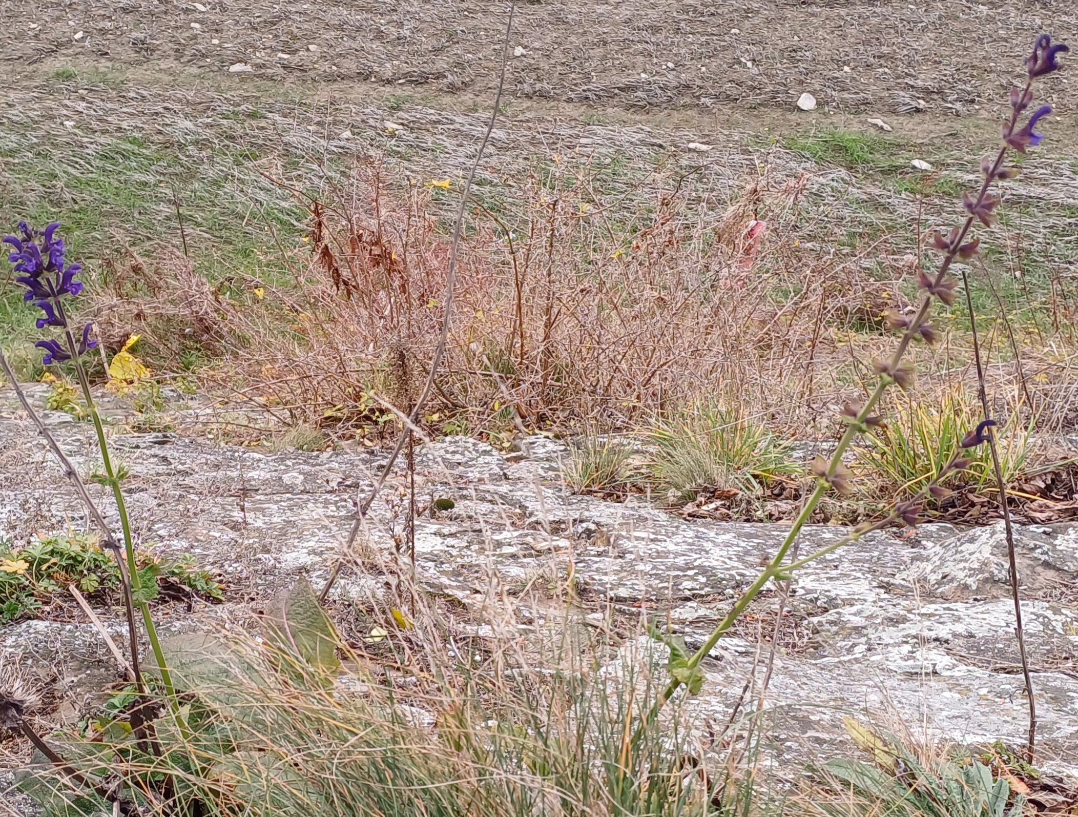 20241215_120526.jpg