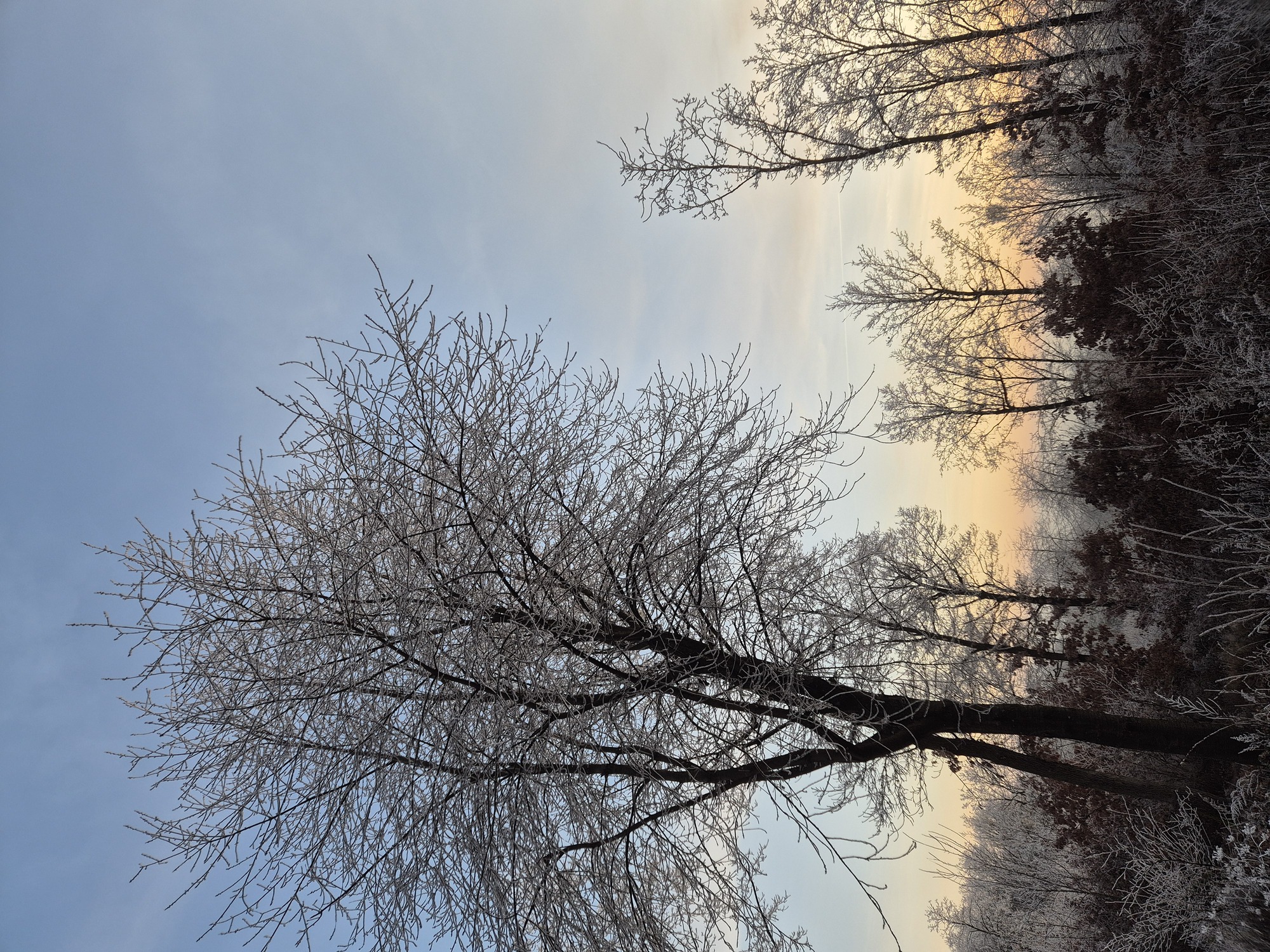 20250101_160801.jpg