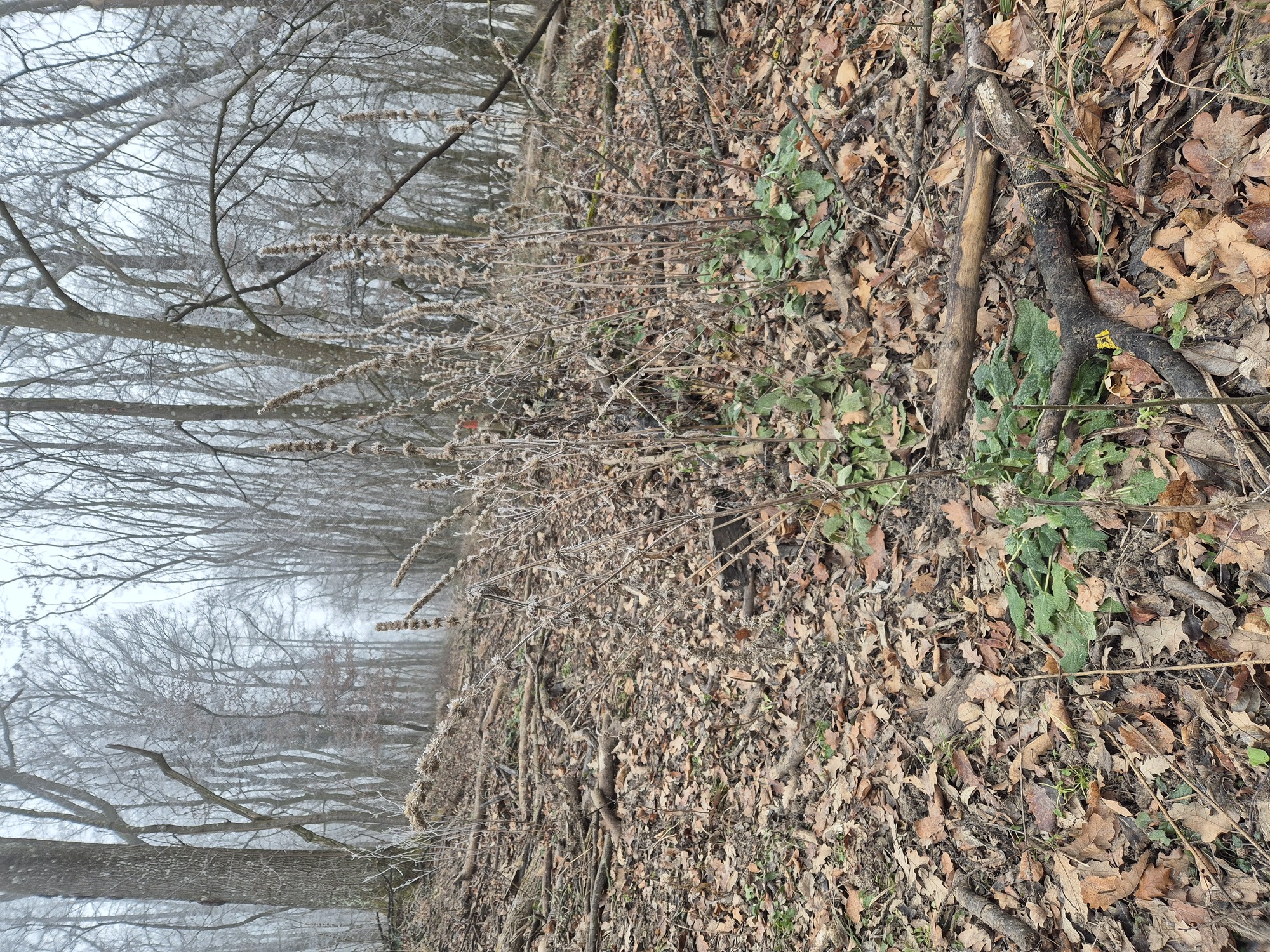 20250119_092050.jpg