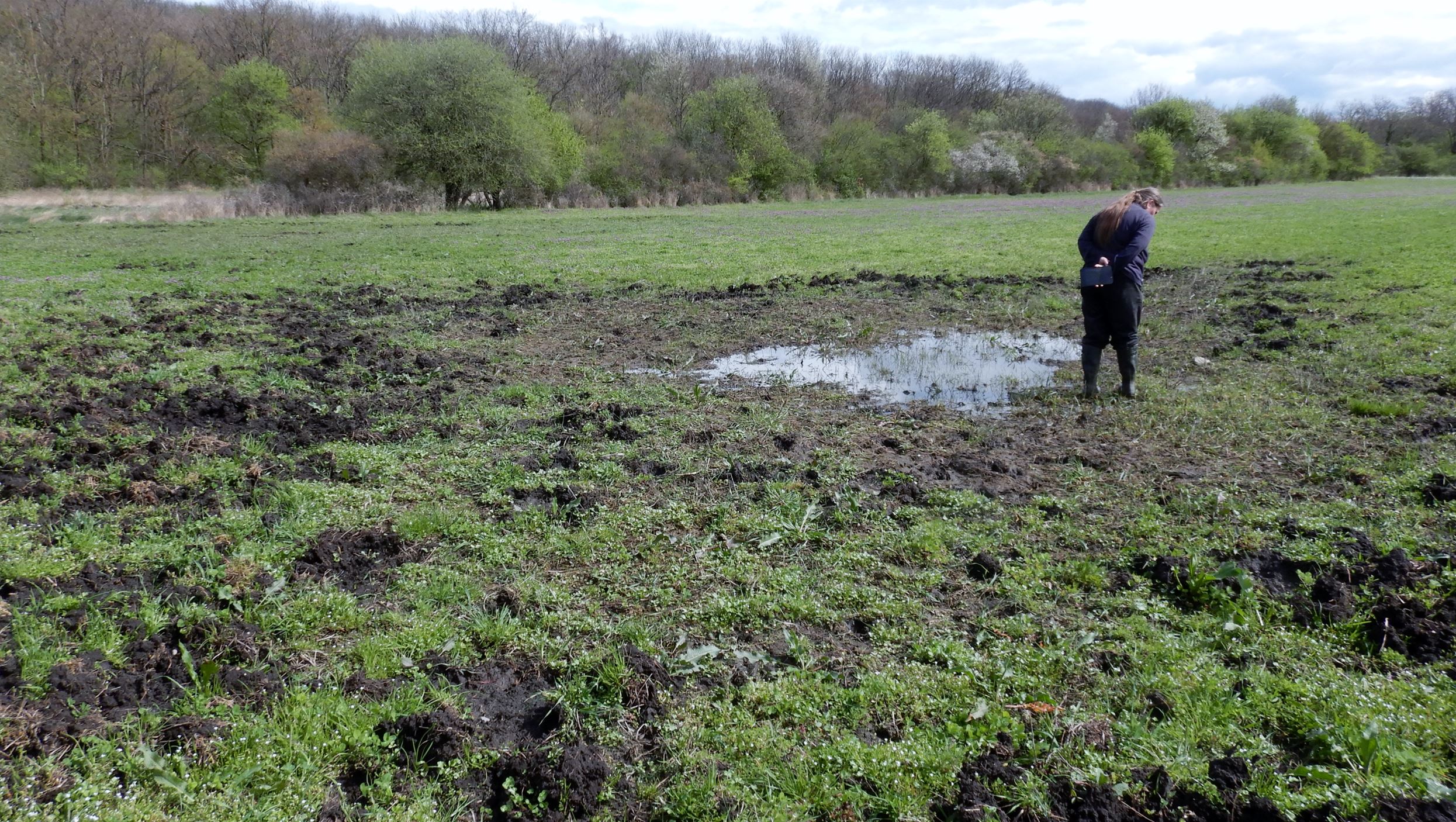 rätselpflanze-habitat.JPG