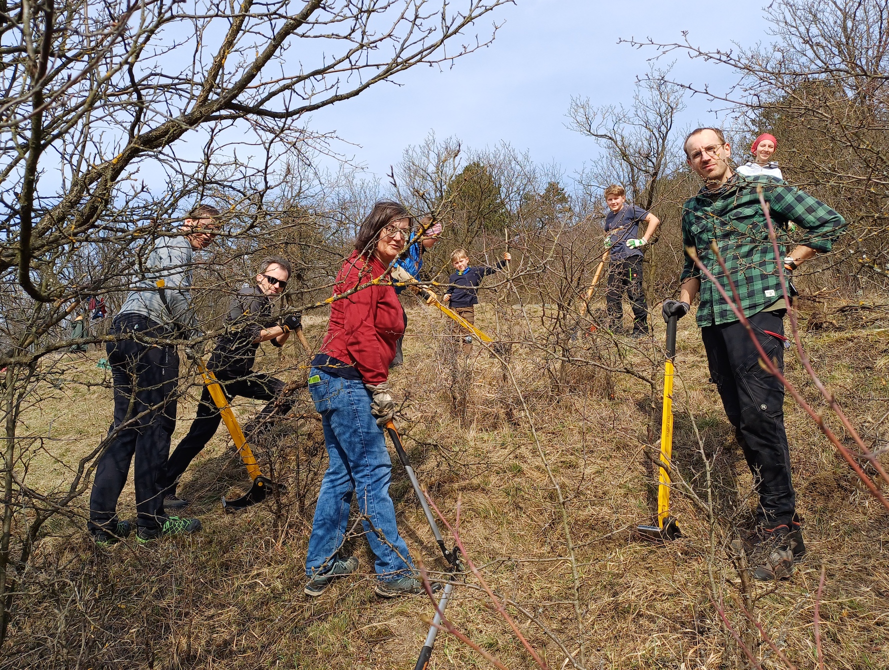 pflegeeinsatz bockstallberg 20250322_122505.jpg