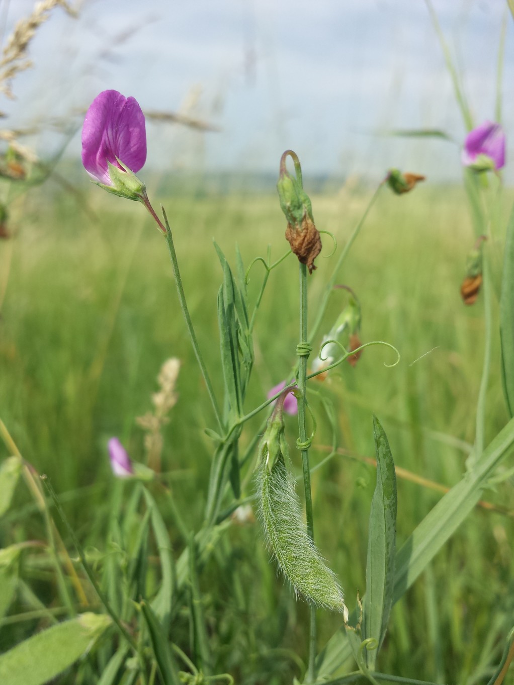 20180530_093816.jpg