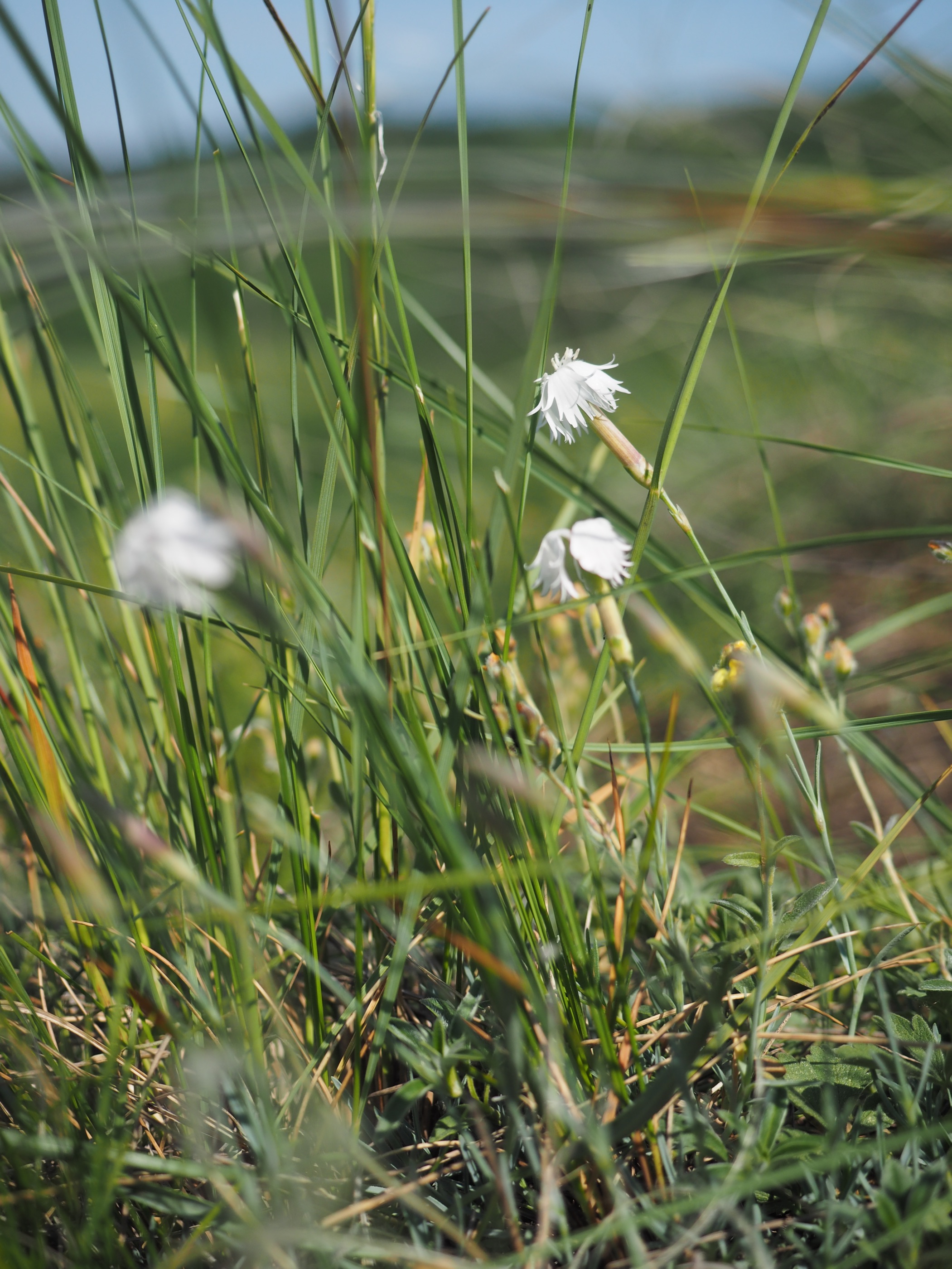 20180520_0166_P5200166.jpg