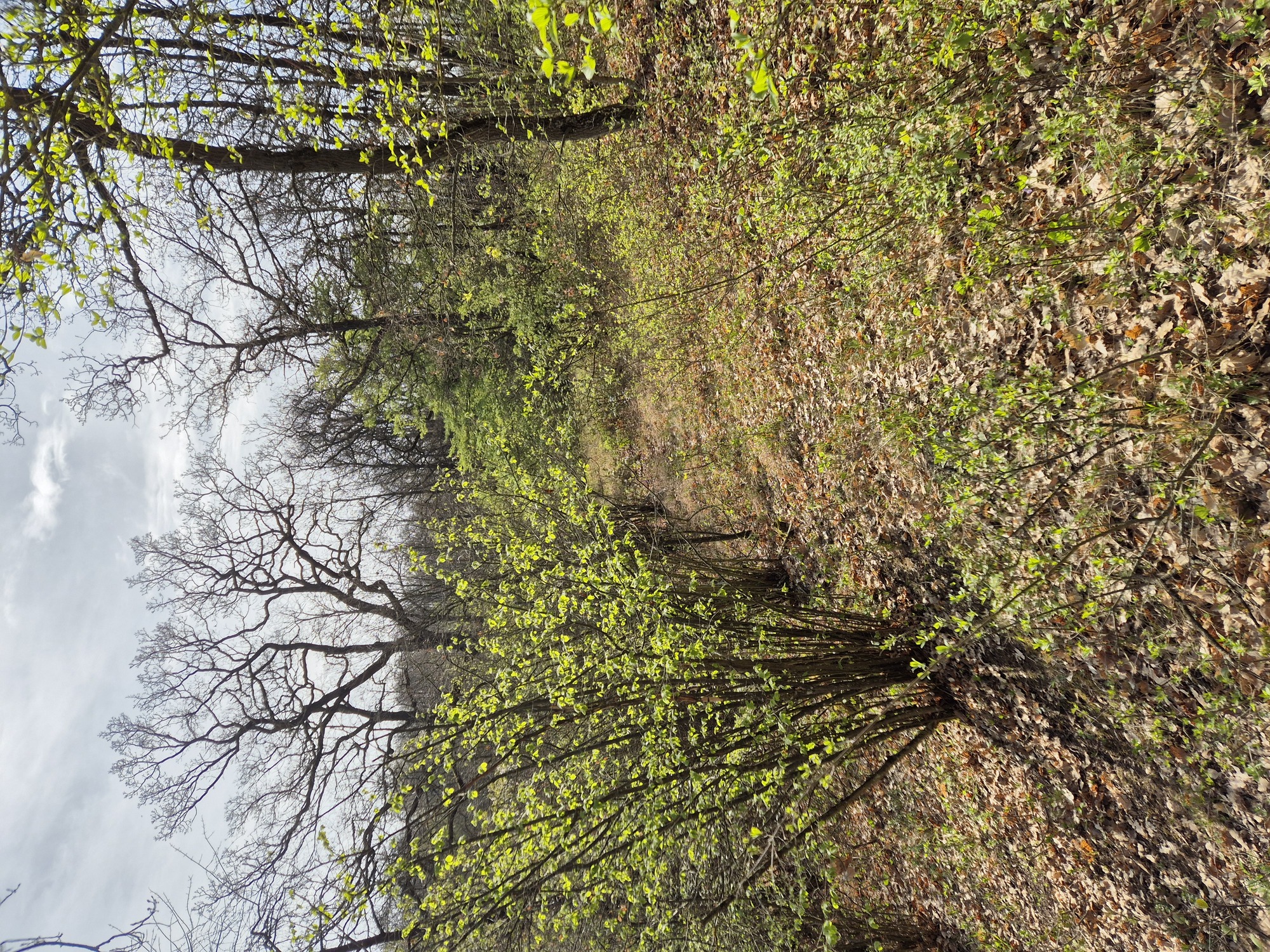 20250413_095305.jpg