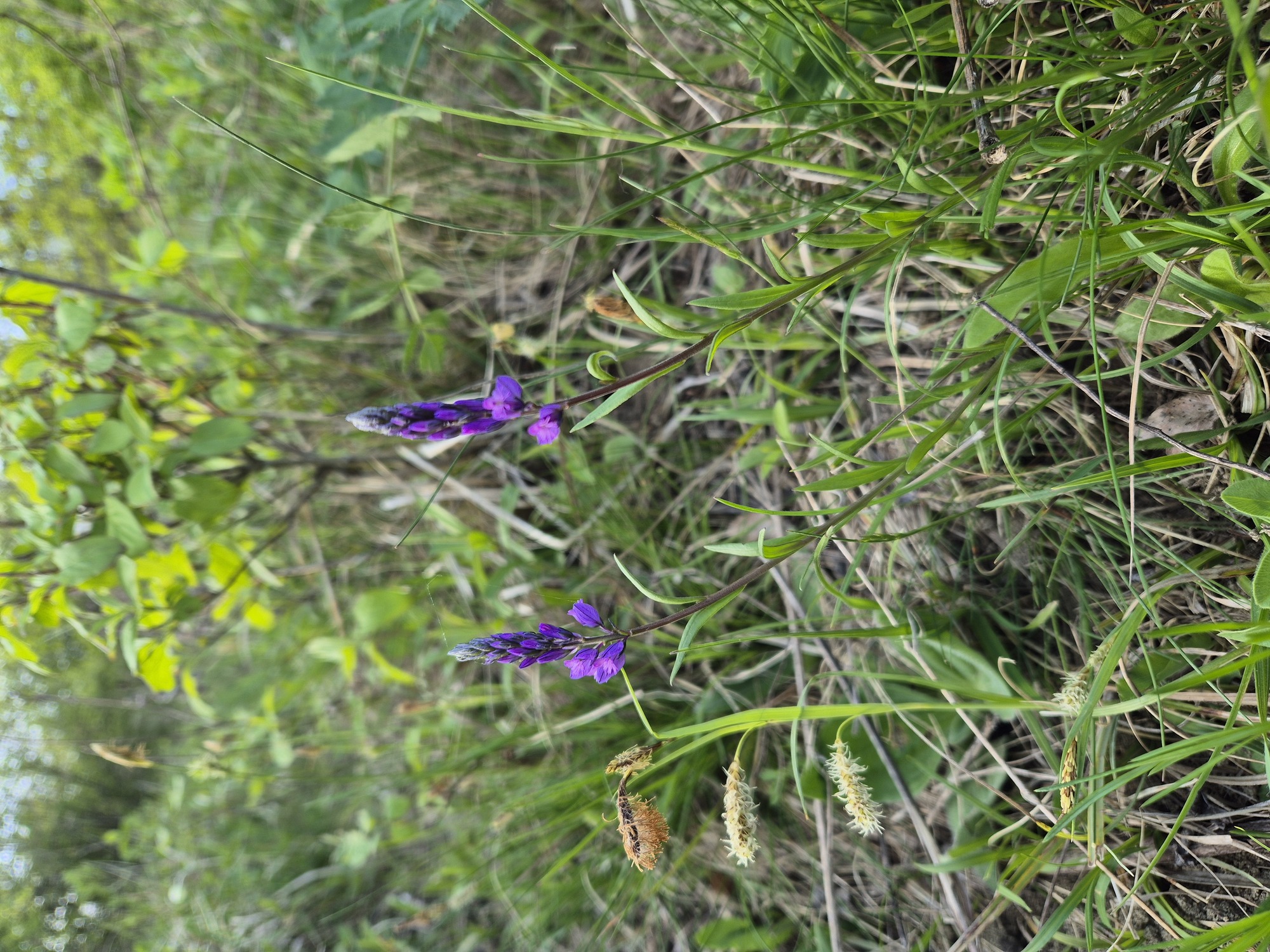 20250421_164023.jpg