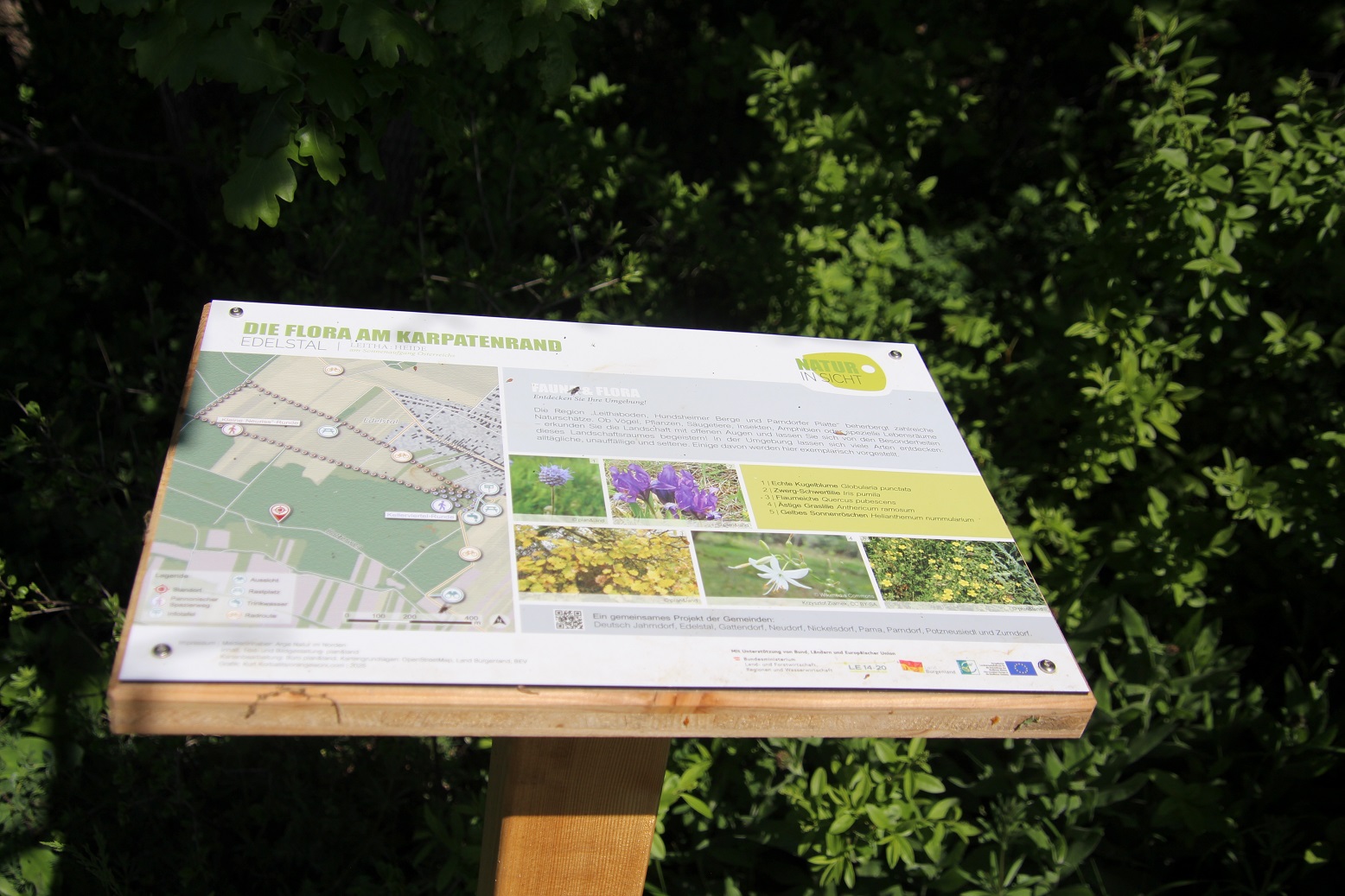 Spitzerberg - 27042025 - (180) - Steinbruch - Infotafel.JPG