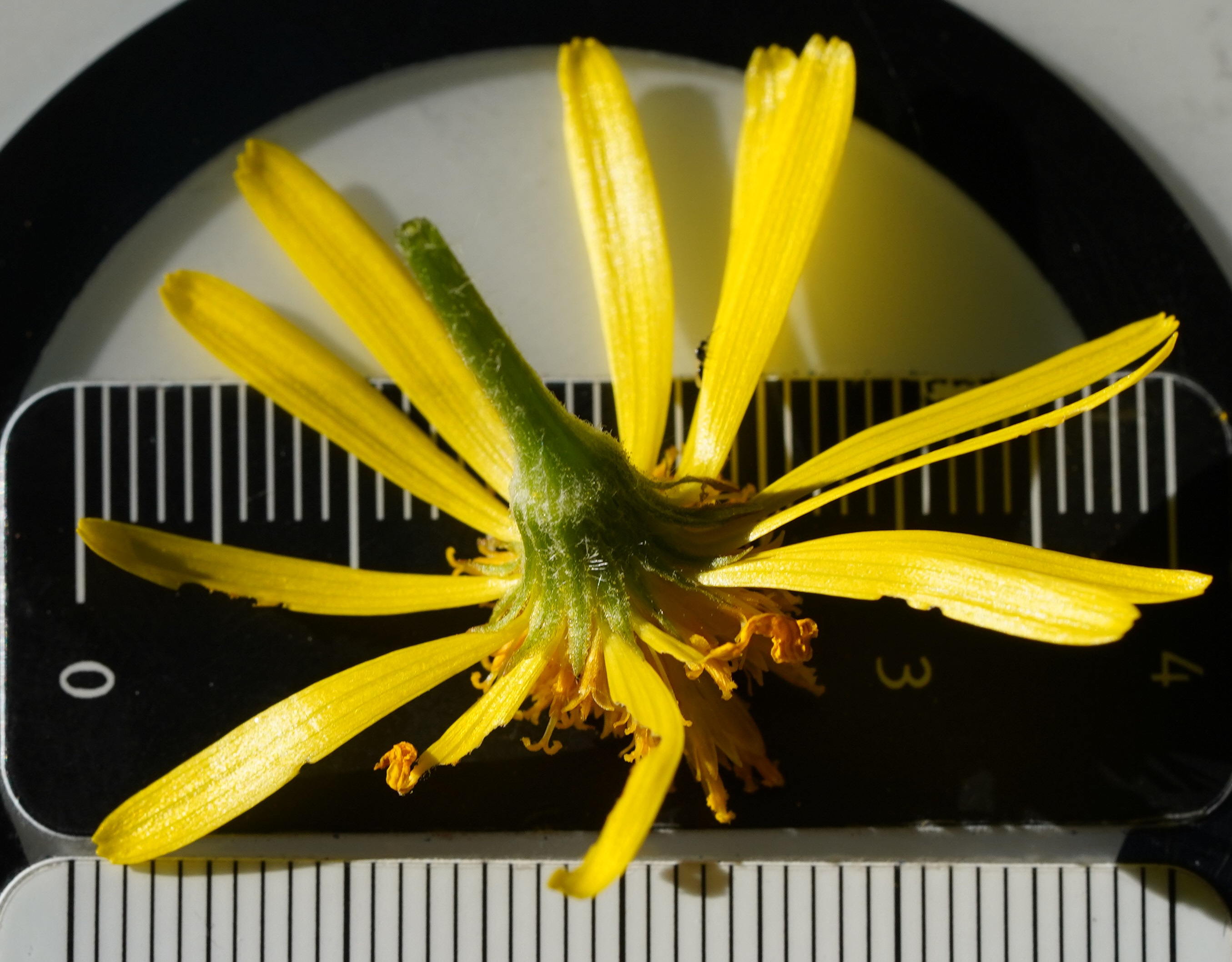 eDSC00939.JPG