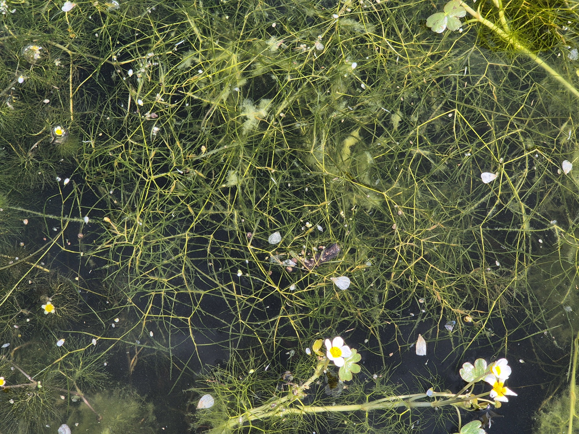 20250425_152314.jpg