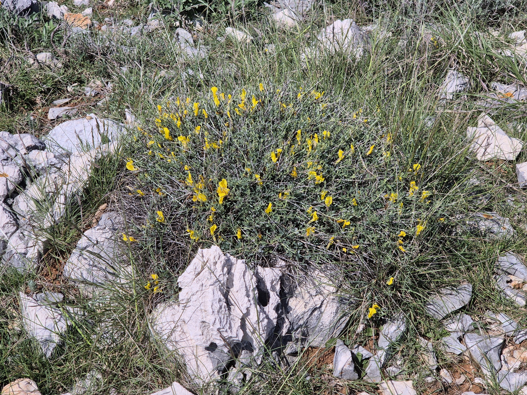 20250427_102517.jpg