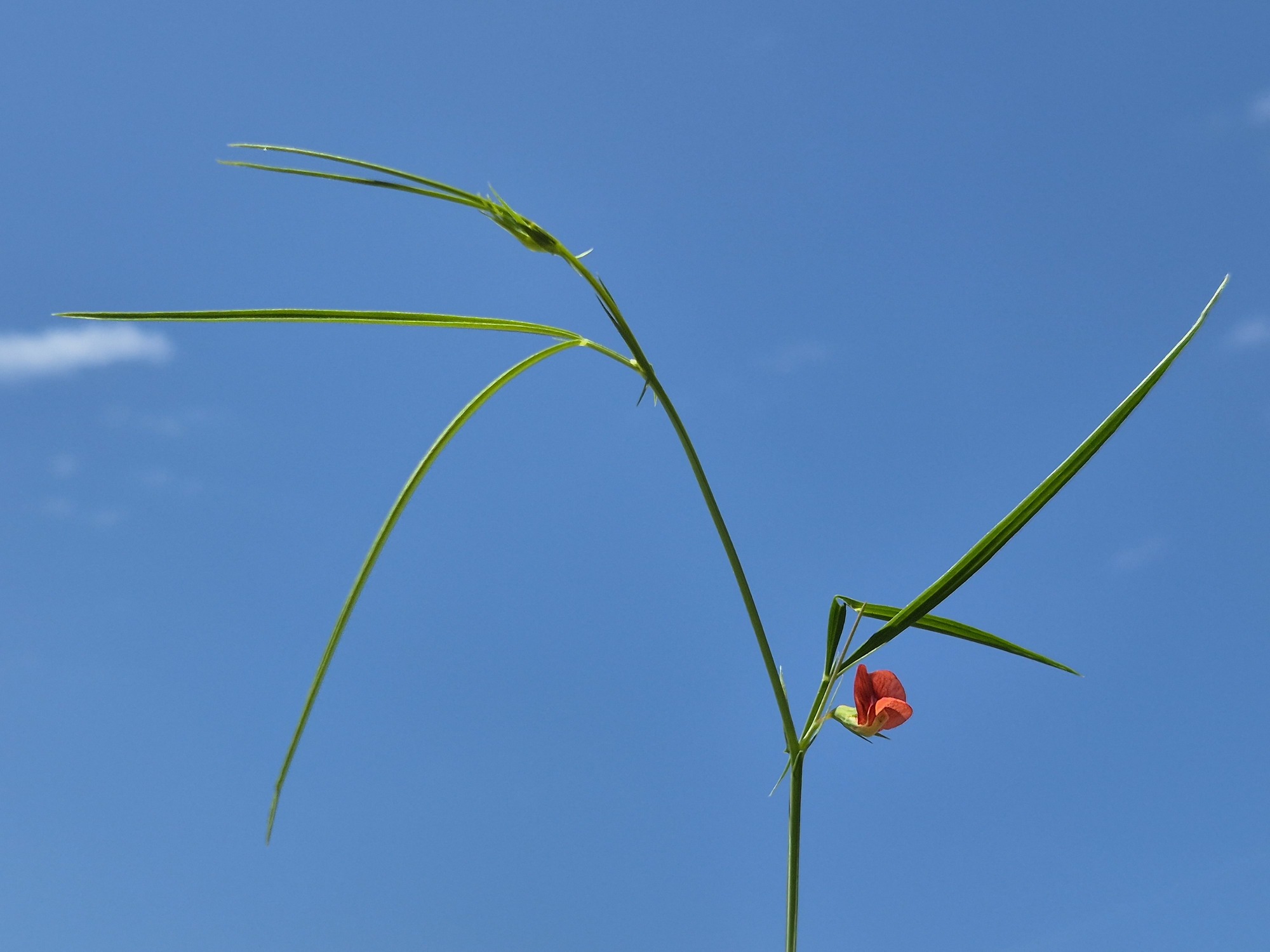 20250427_133152.jpg