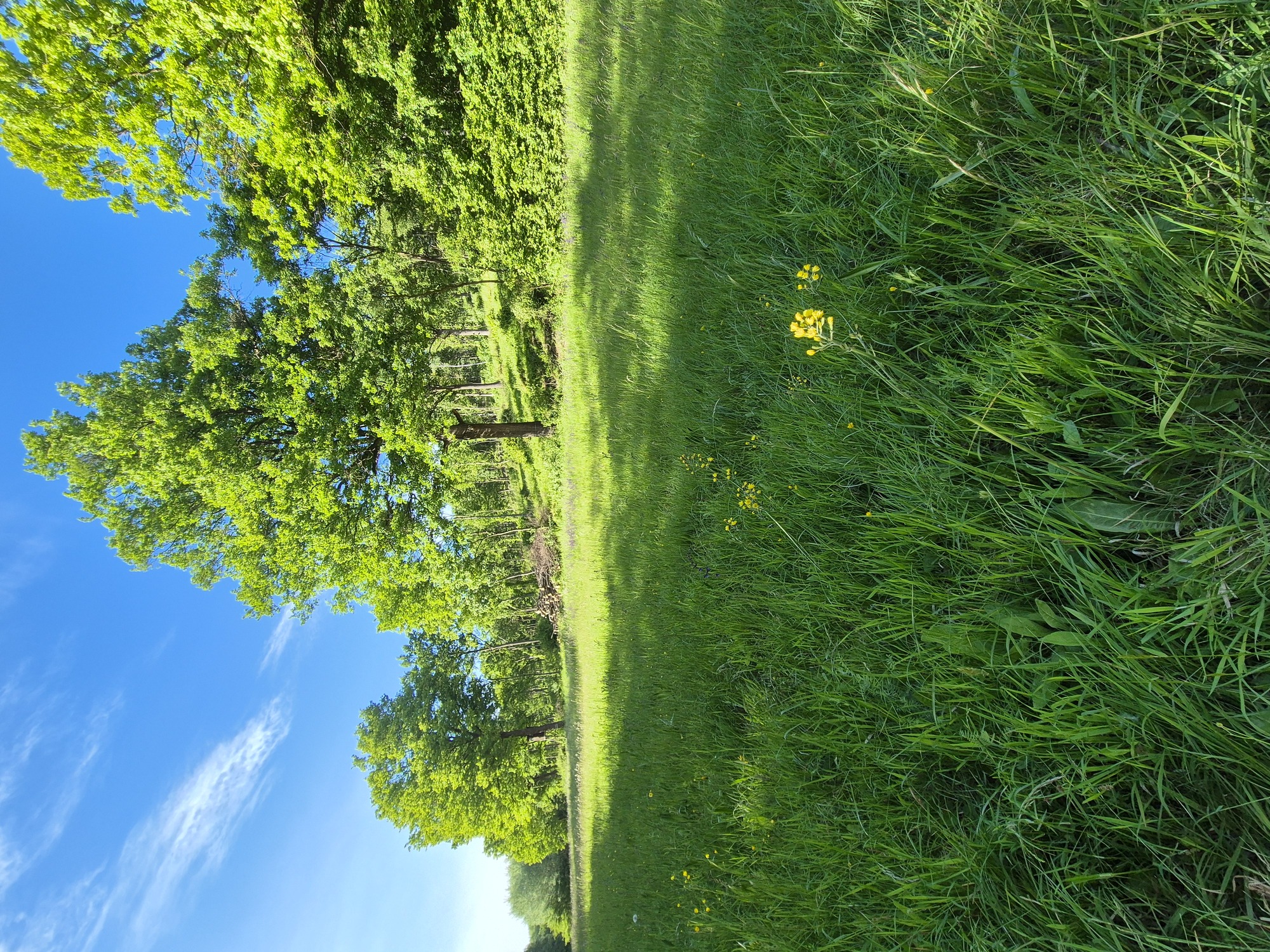 20250516_174148.jpg