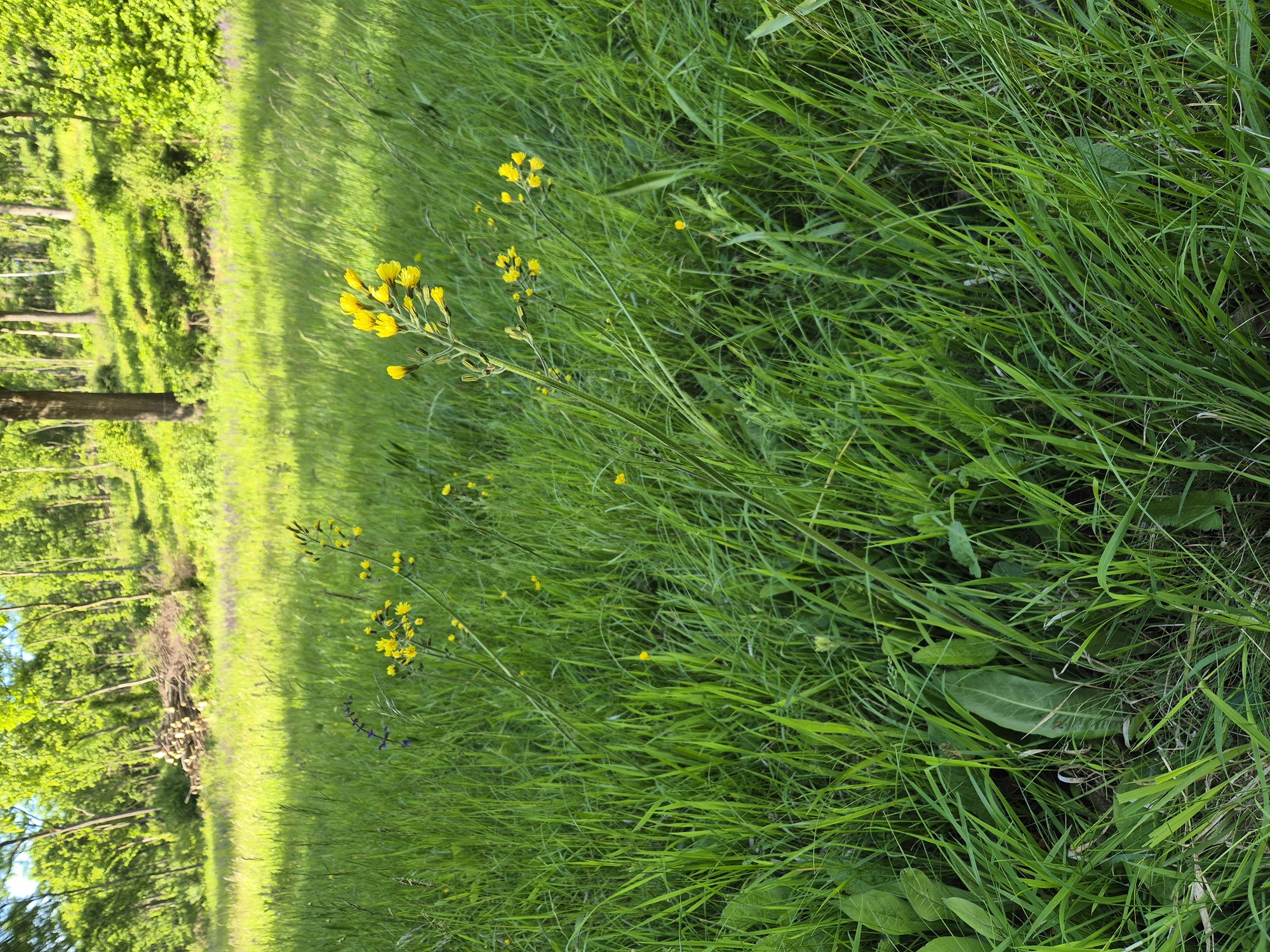 20250516_174214.jpg