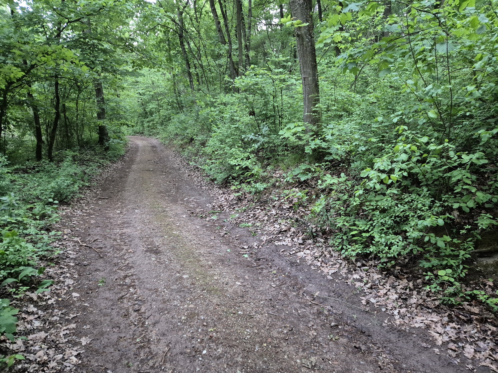 20250518_163247.jpg